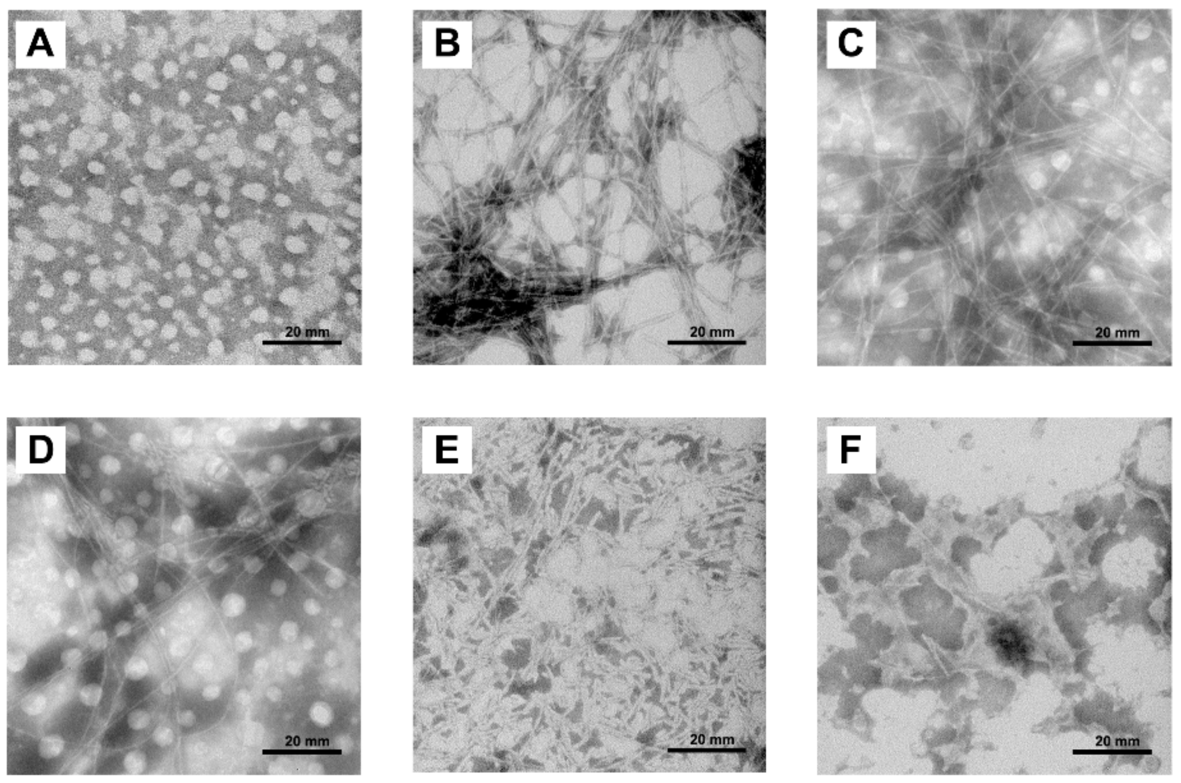Molecules 25 01314 g004