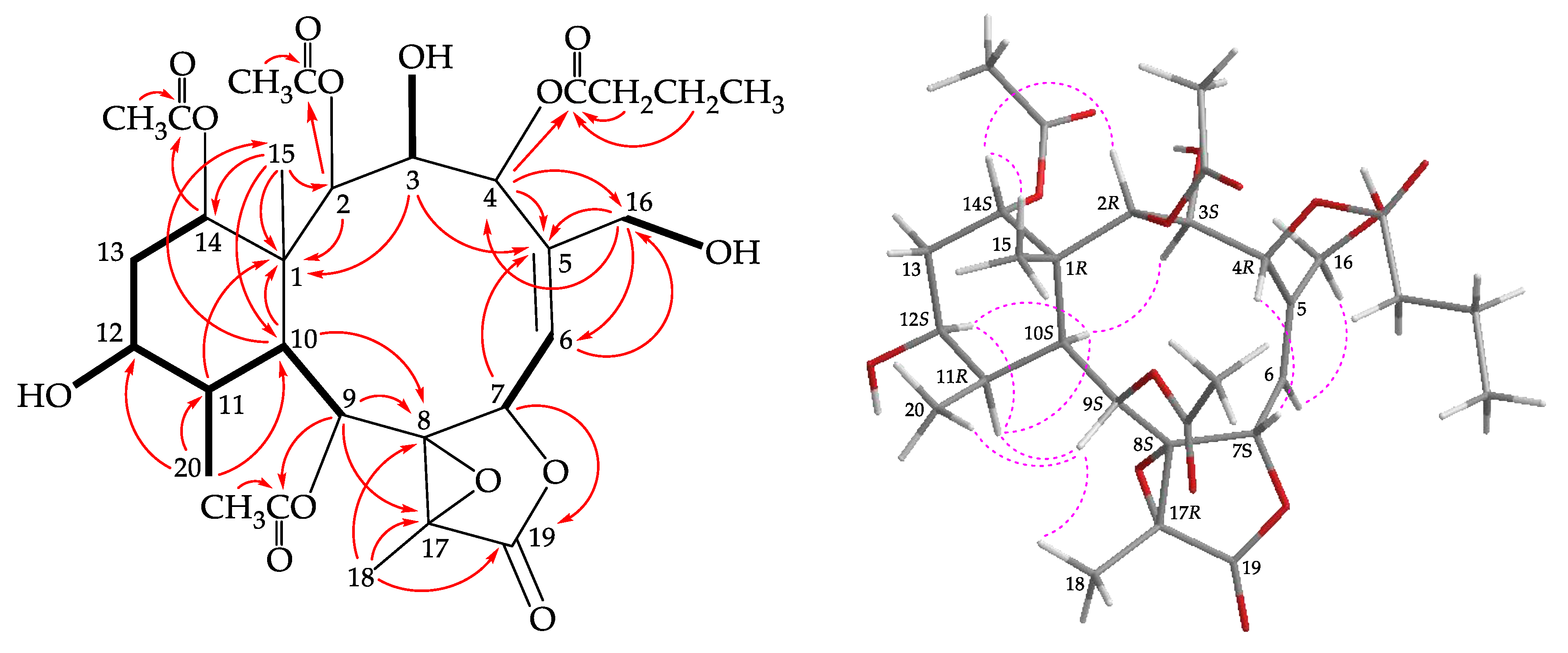 Molecules 25 01405 g002 Molecules 25 01405 g002