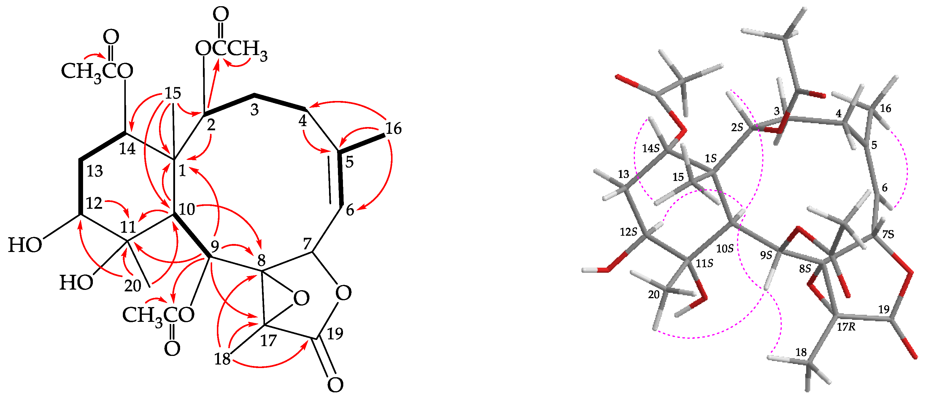 Molecules 25 01405 g004 Molecules 25 01405 g004
