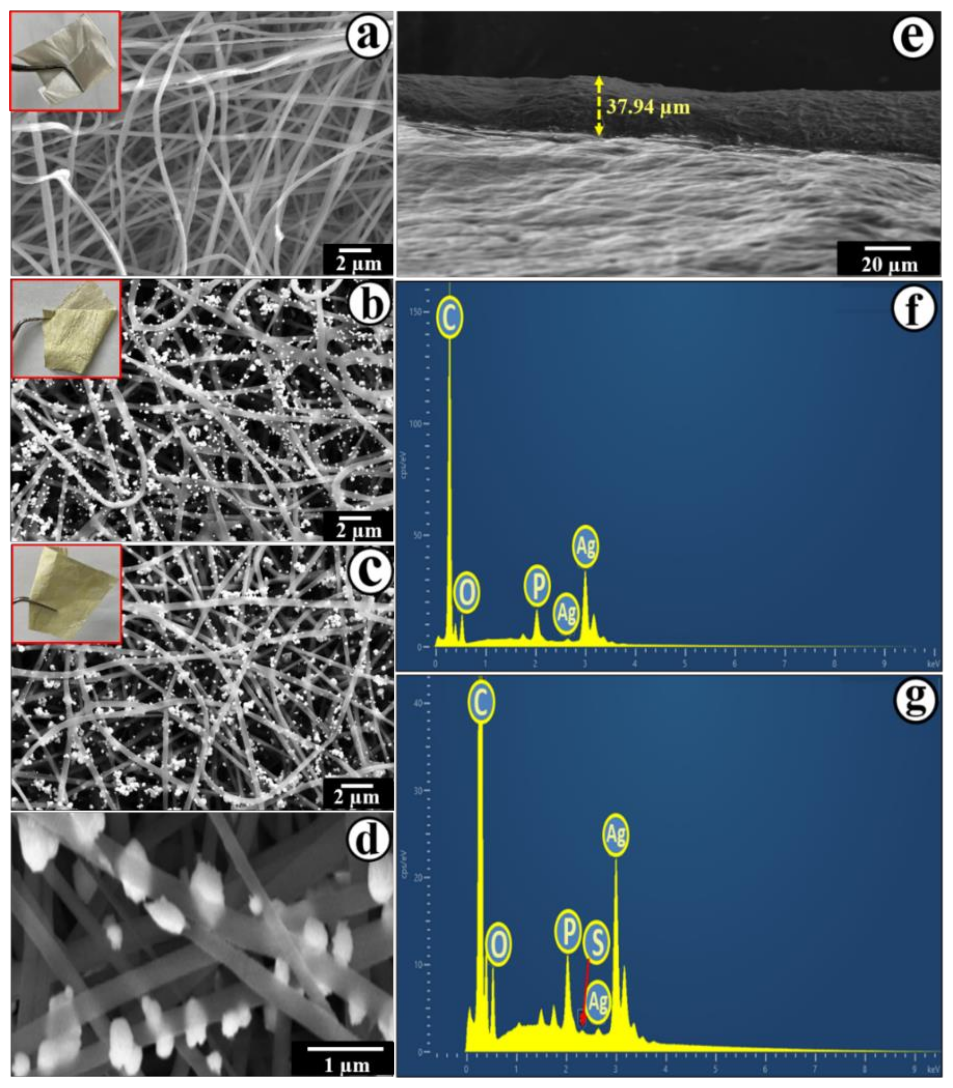 Molecules 25 01411 g002