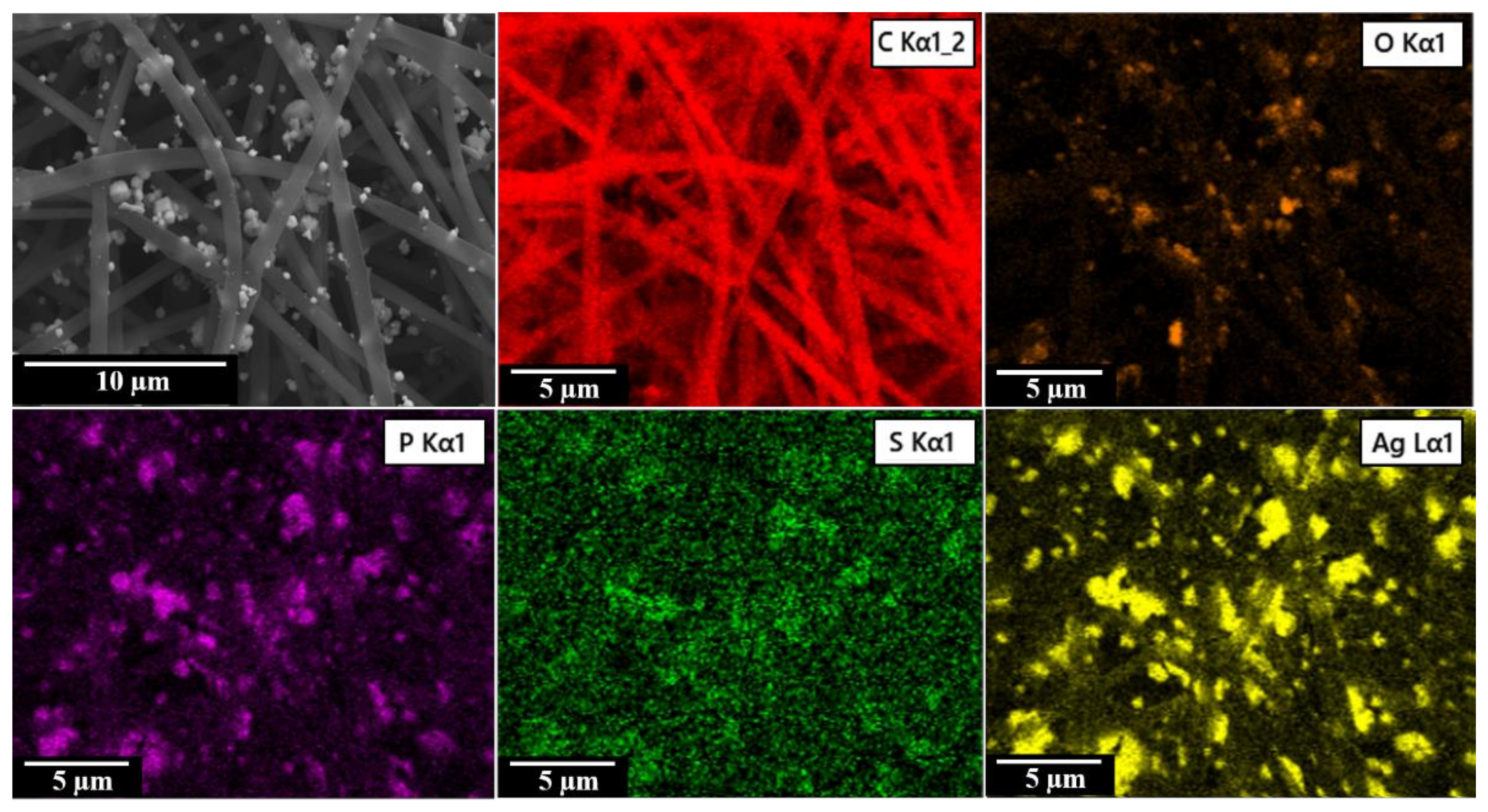 Molecules 25 01411 g003