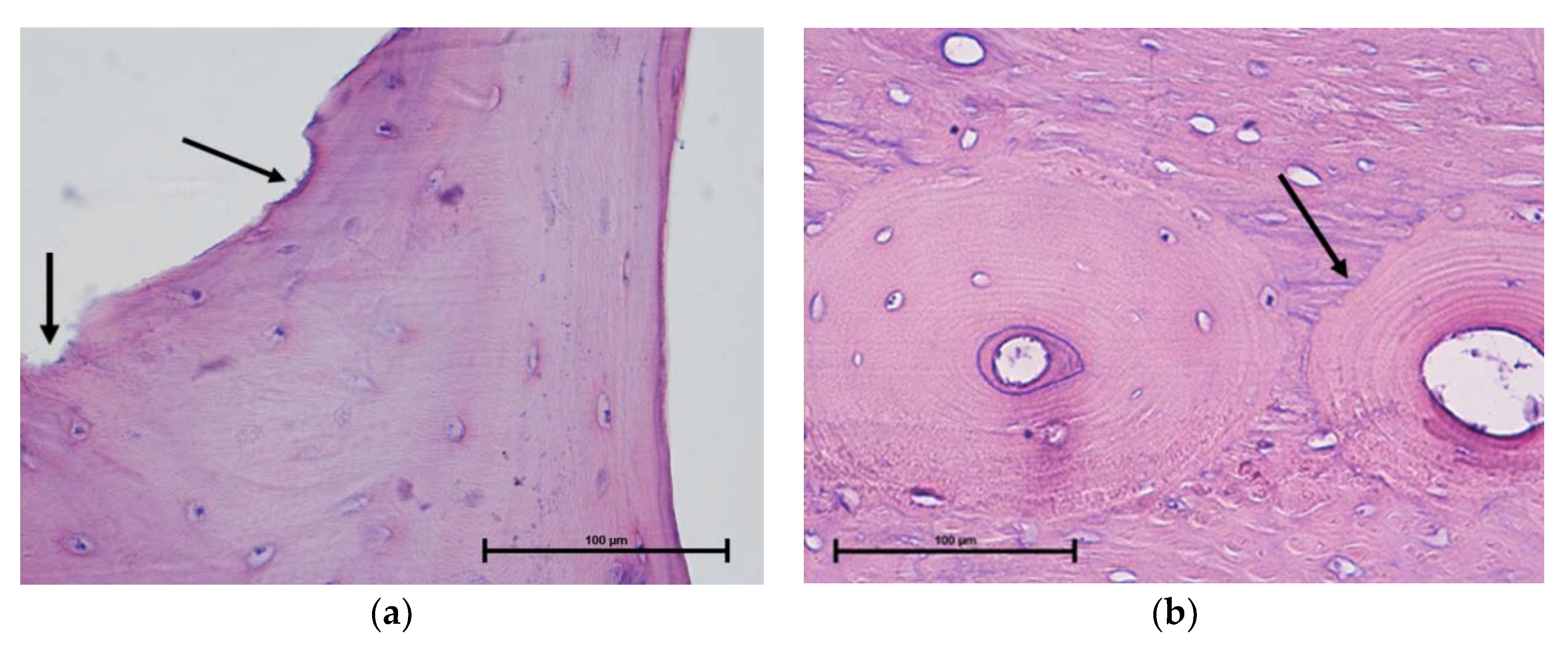 Molecules 25 01424 g010 Molecules 25 01424 g010