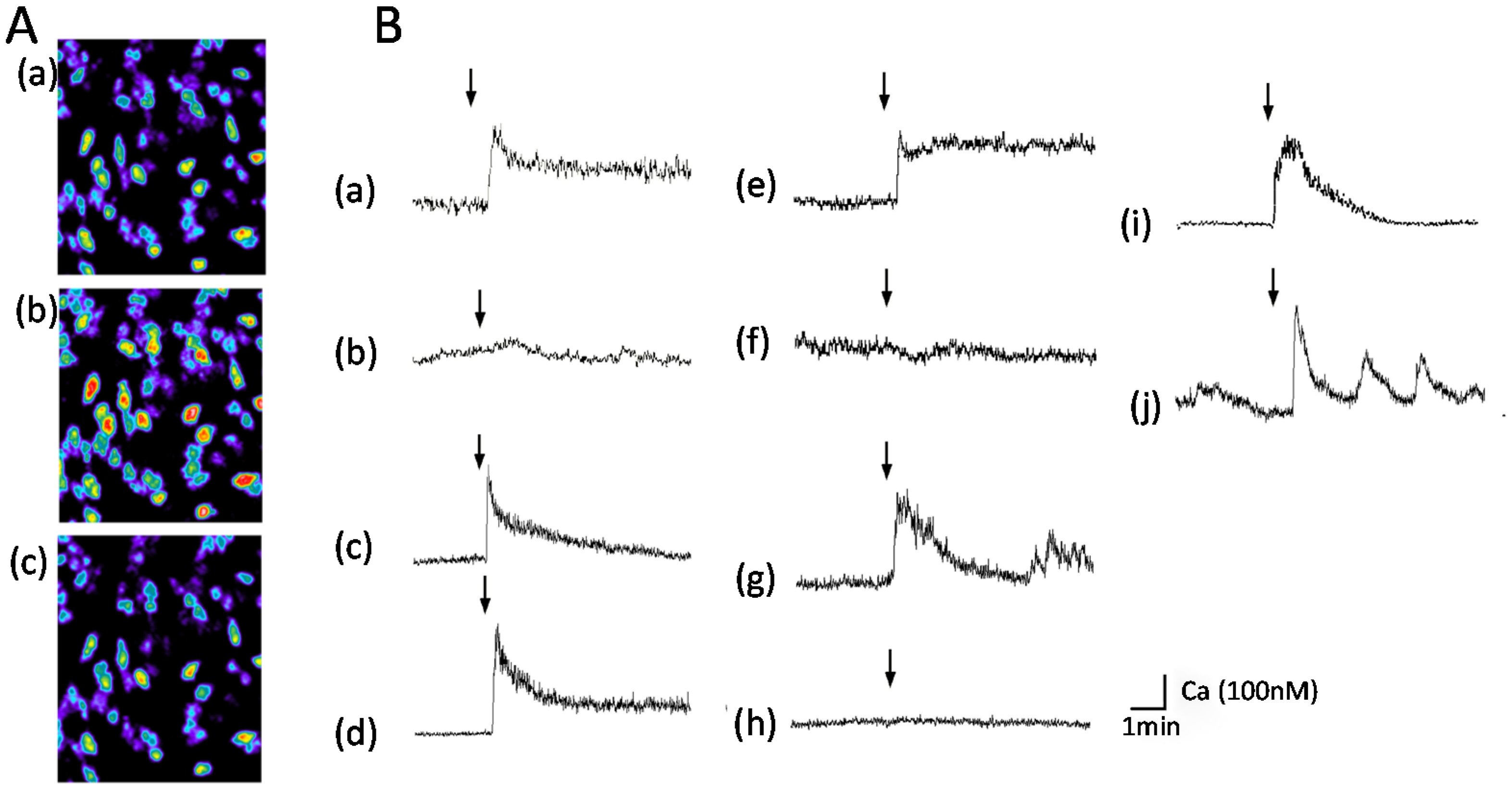 Molecules 25 01441 g002 Molecules 25 01441 g002