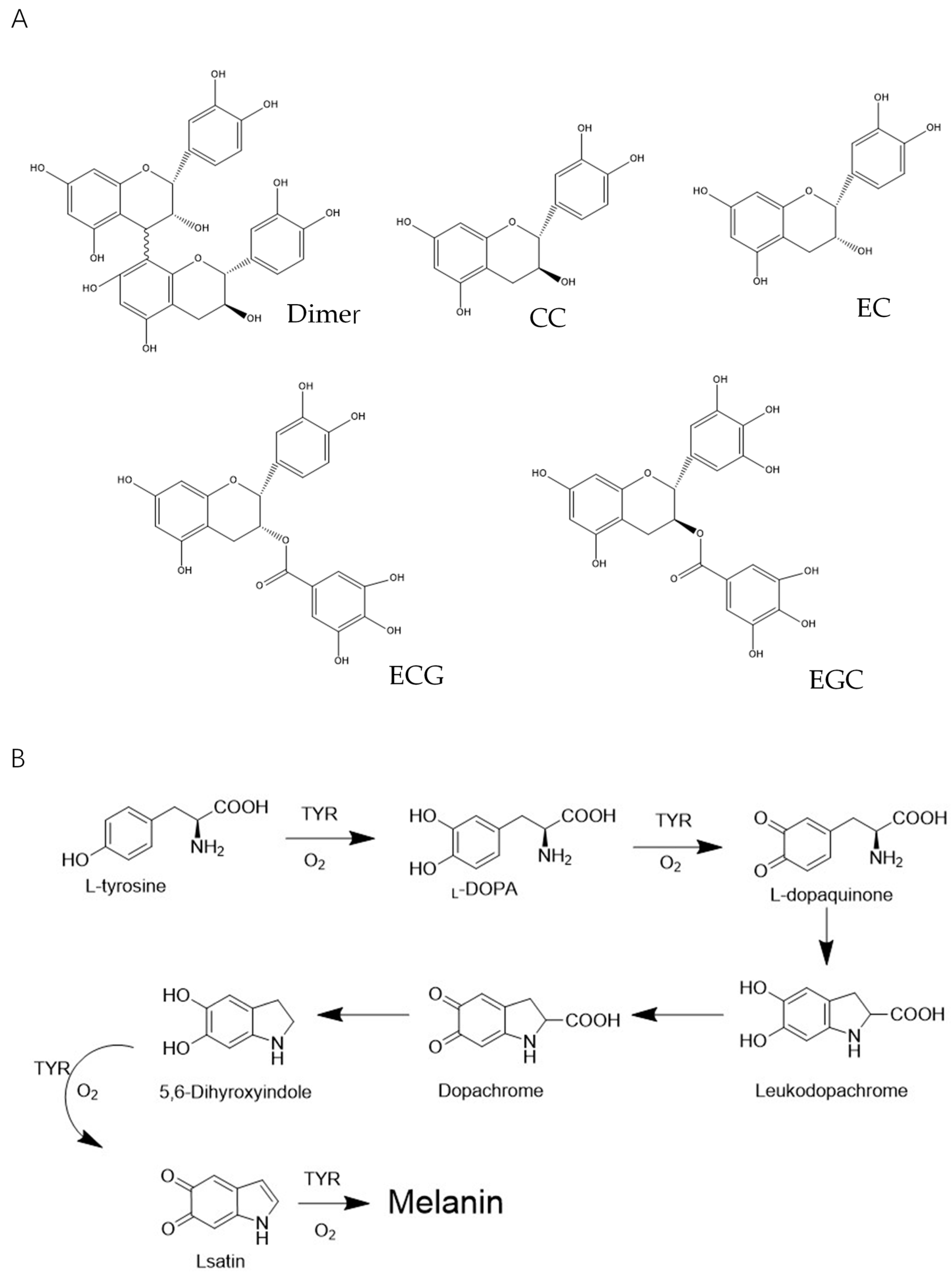Molecules 25 01458 g001 Molecules 25 01458 g001