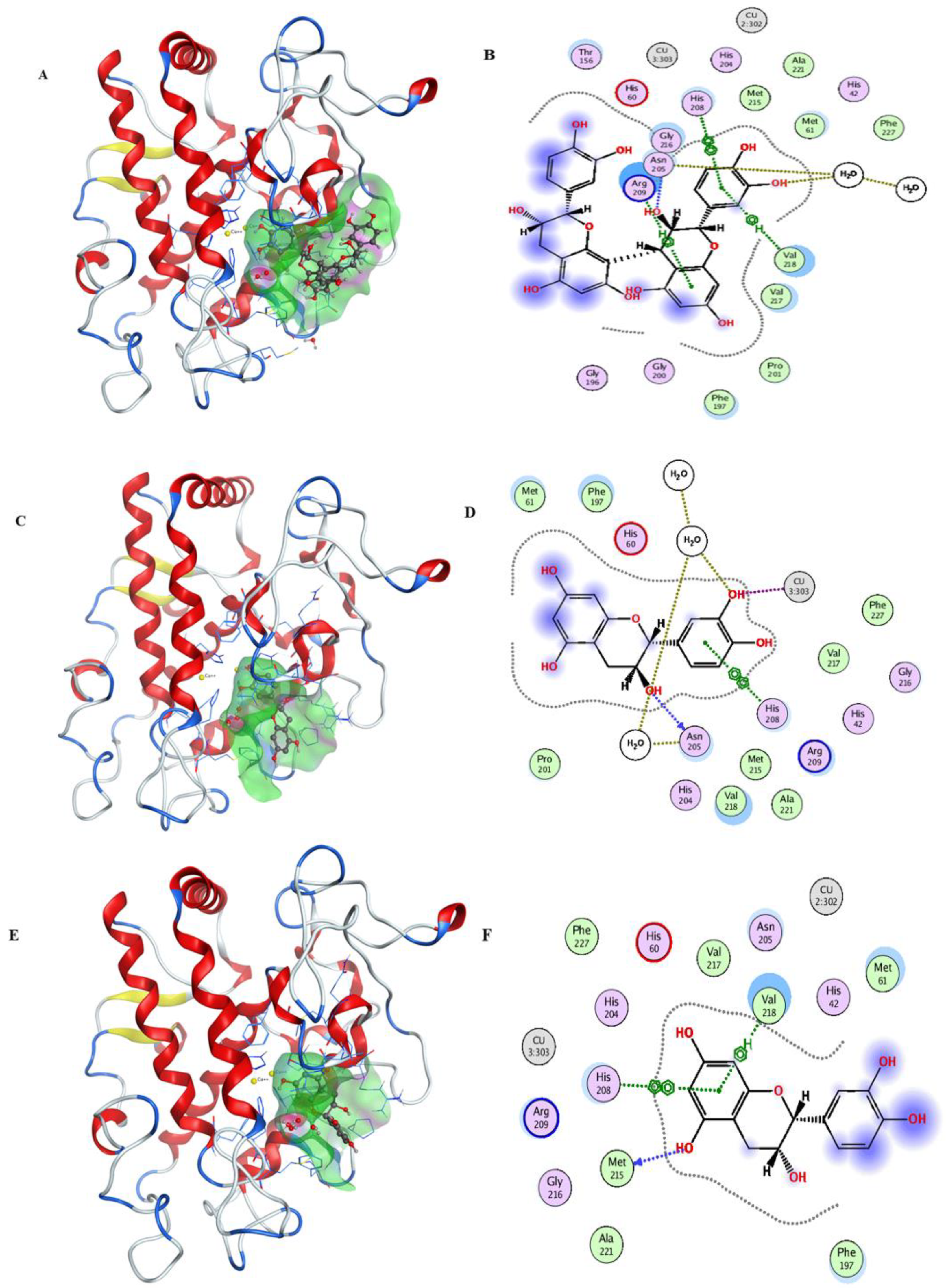 Molecules 25 01458 g003a Molecules 25 01458 g003a