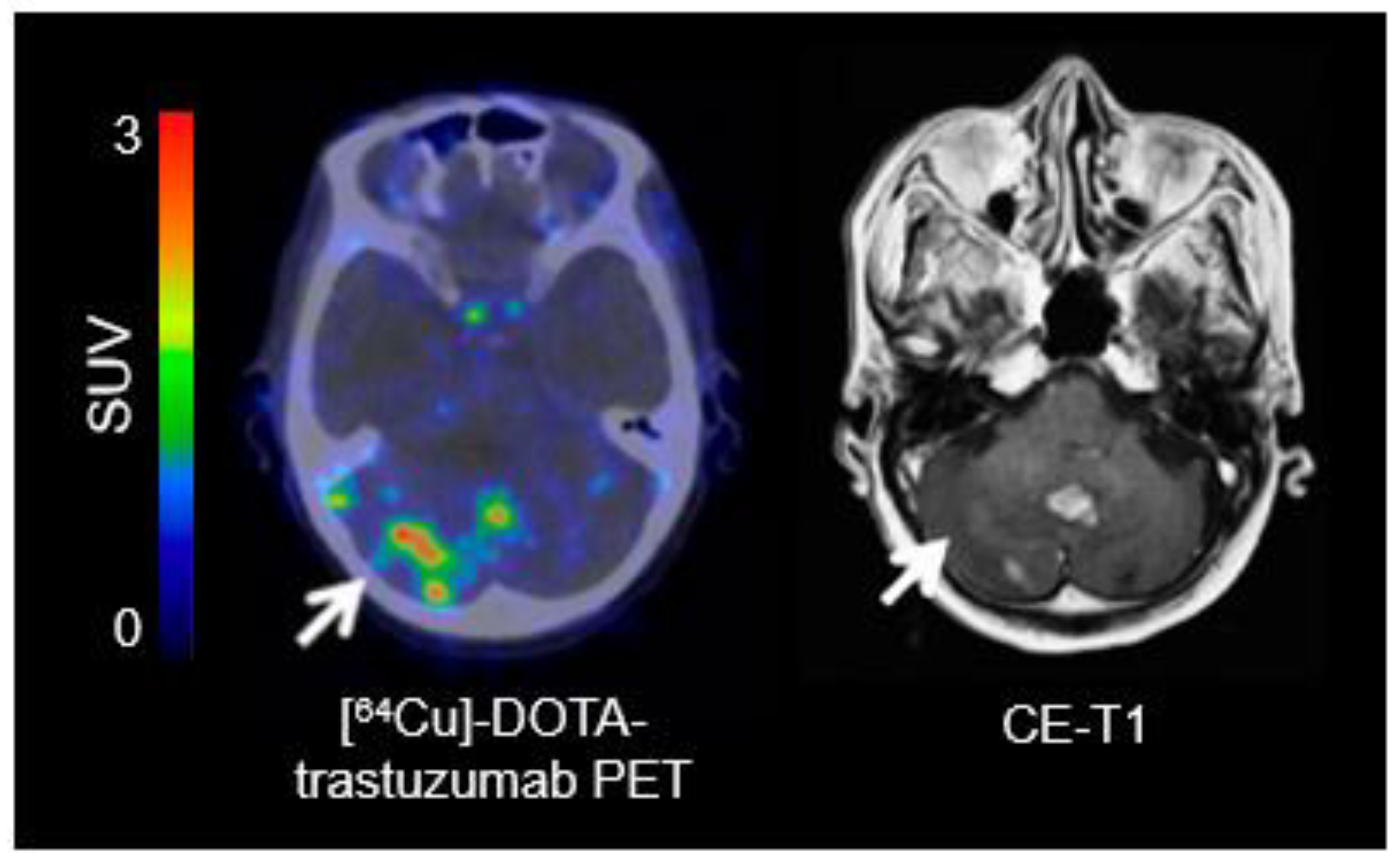 Molecules 25 01471 g003