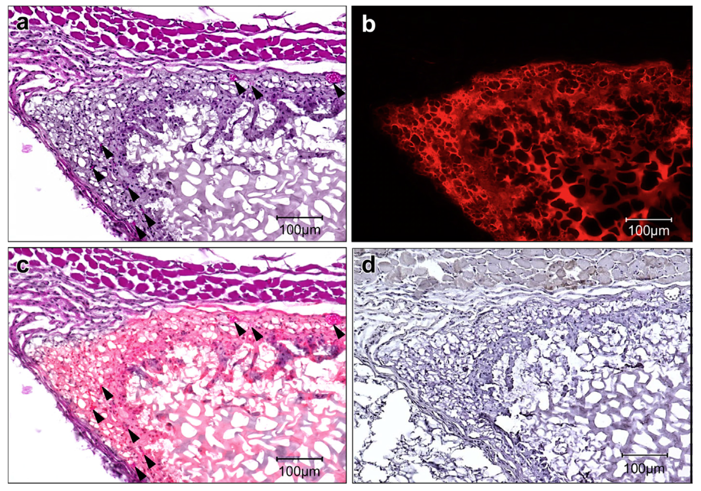 Molecules 25 01539 g003