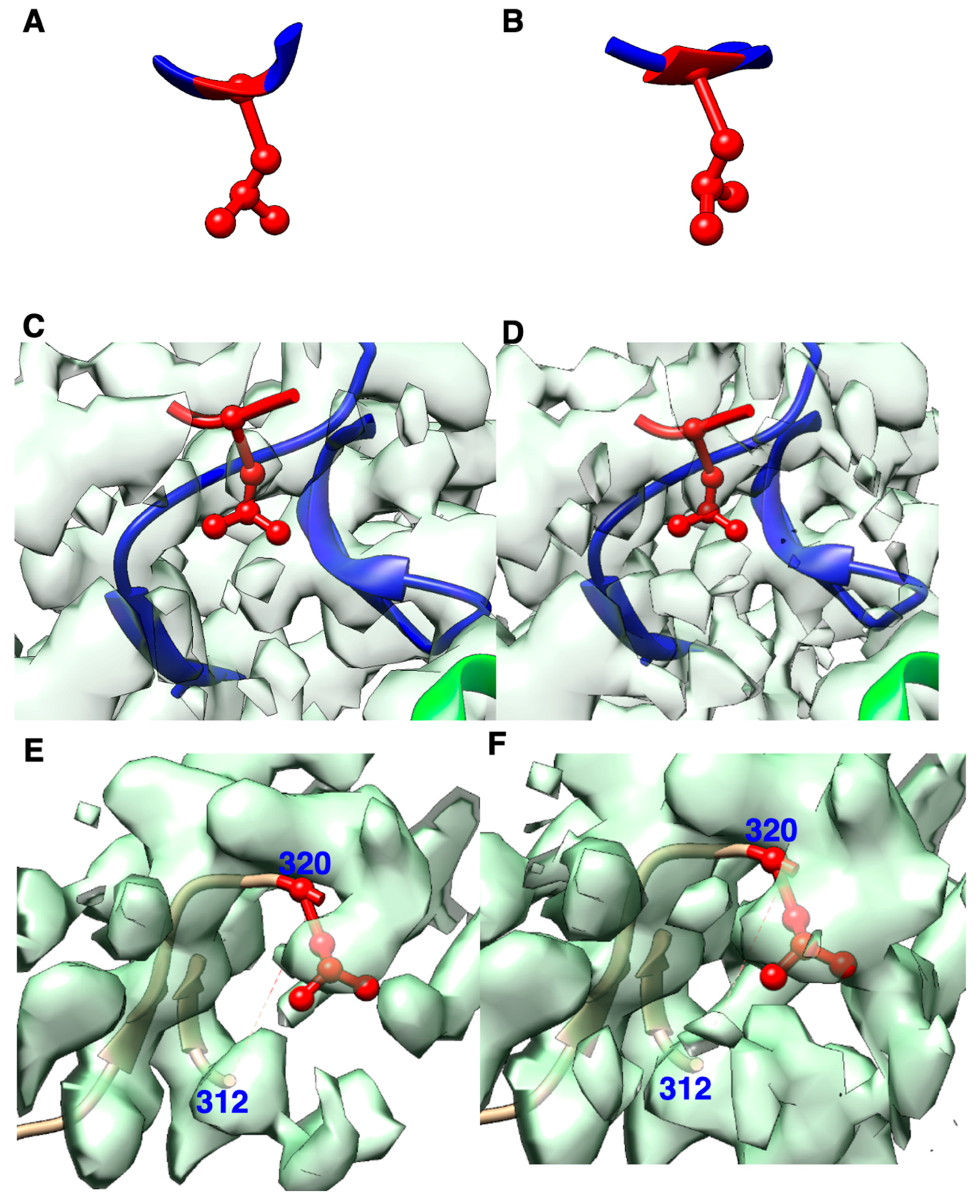 Molecules 25 01540 g003 Molecules 25 01540 g003