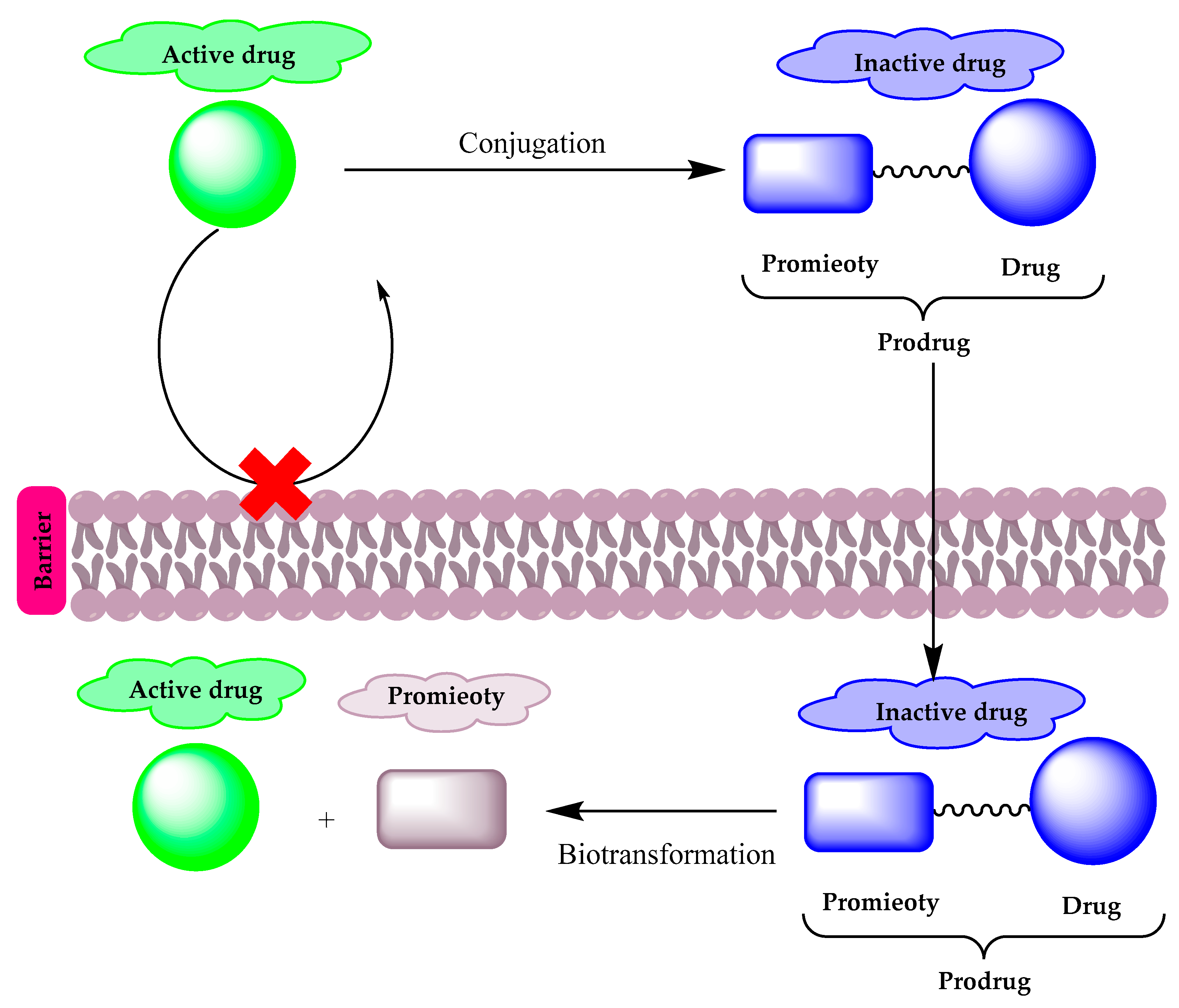 Molecules 25 01543 g001 Molecules 25 01543 g001