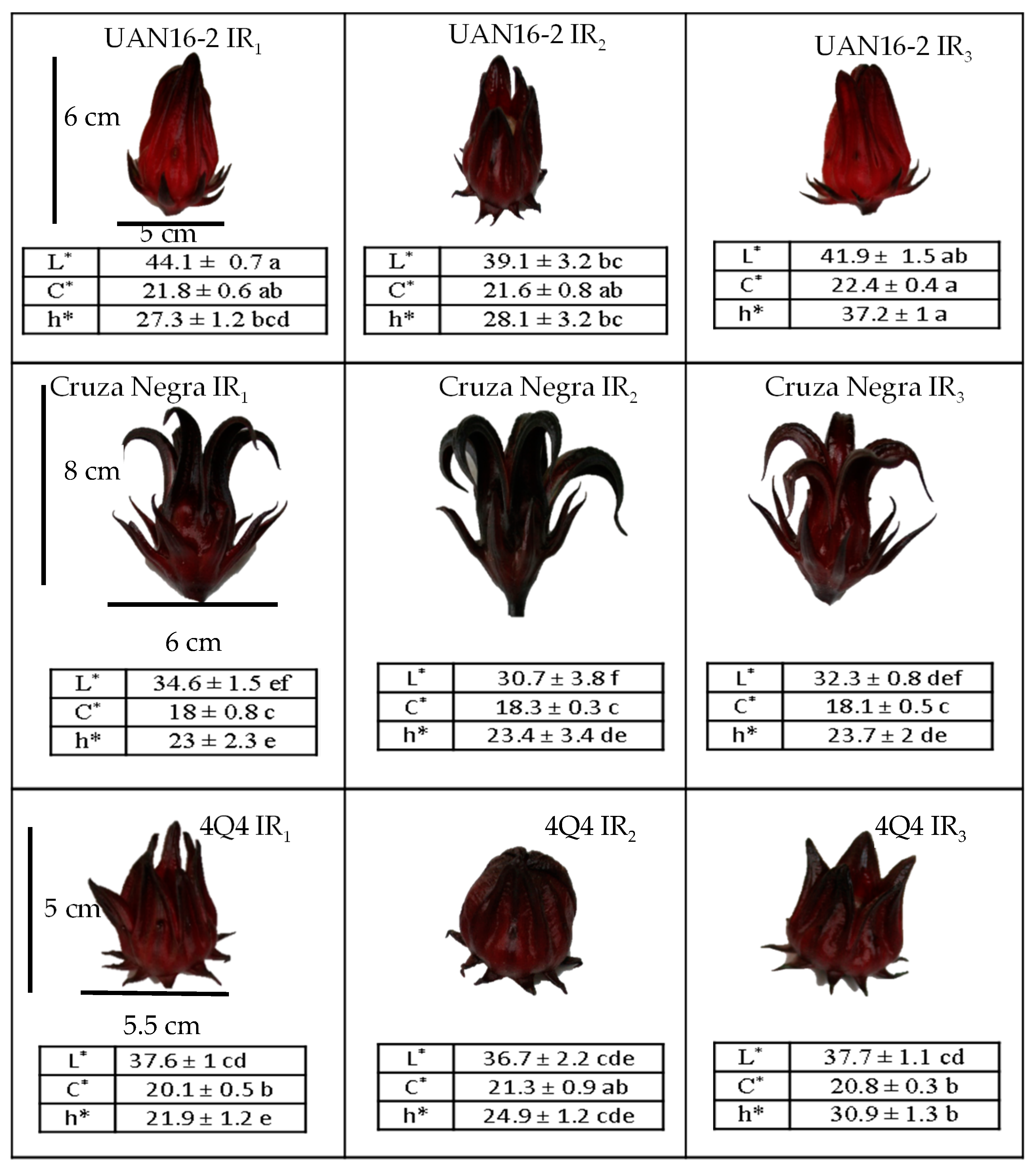 Molecules 25 01555 g003 Molecules 25 01555 g003