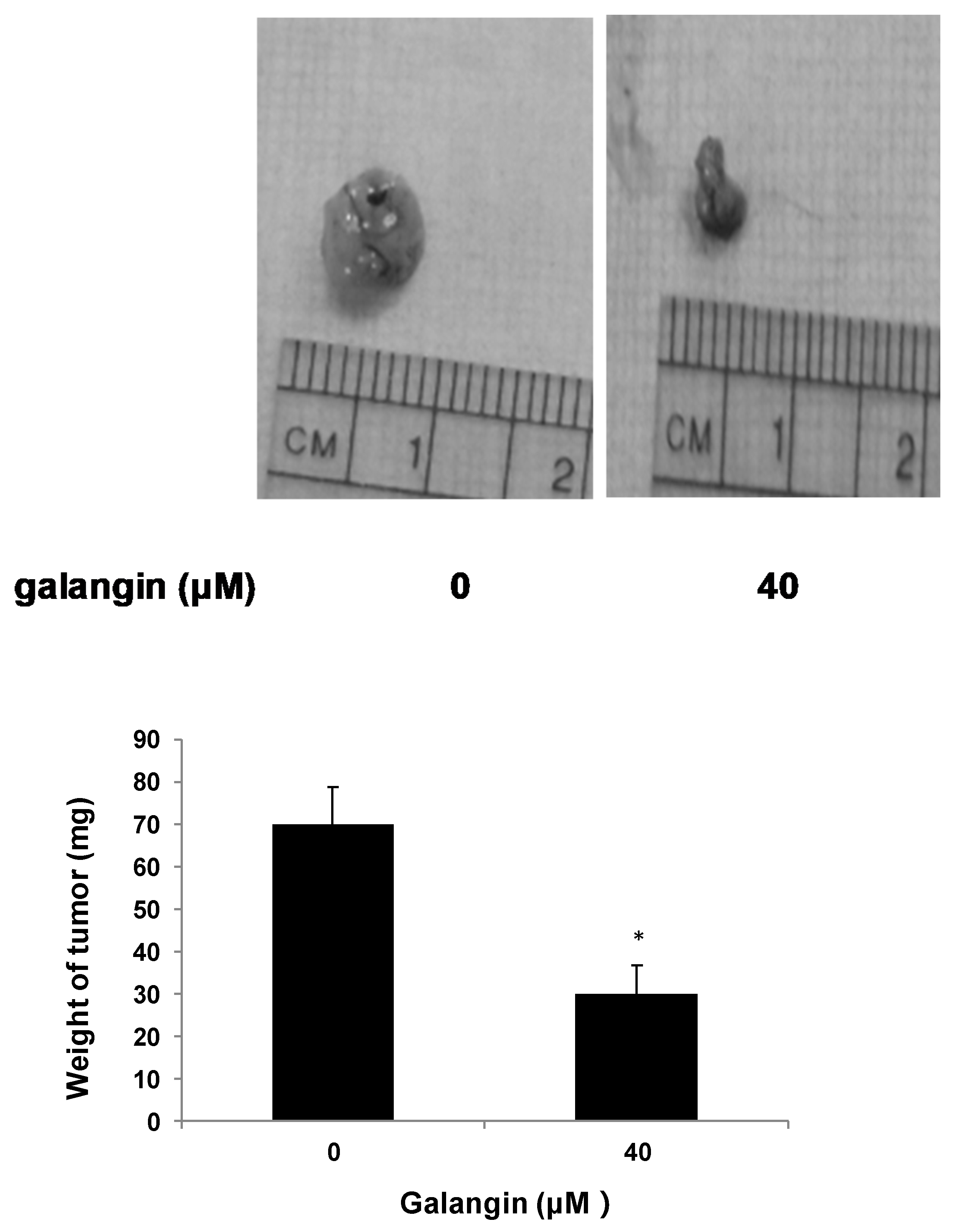 Molecules 25 01579 g003