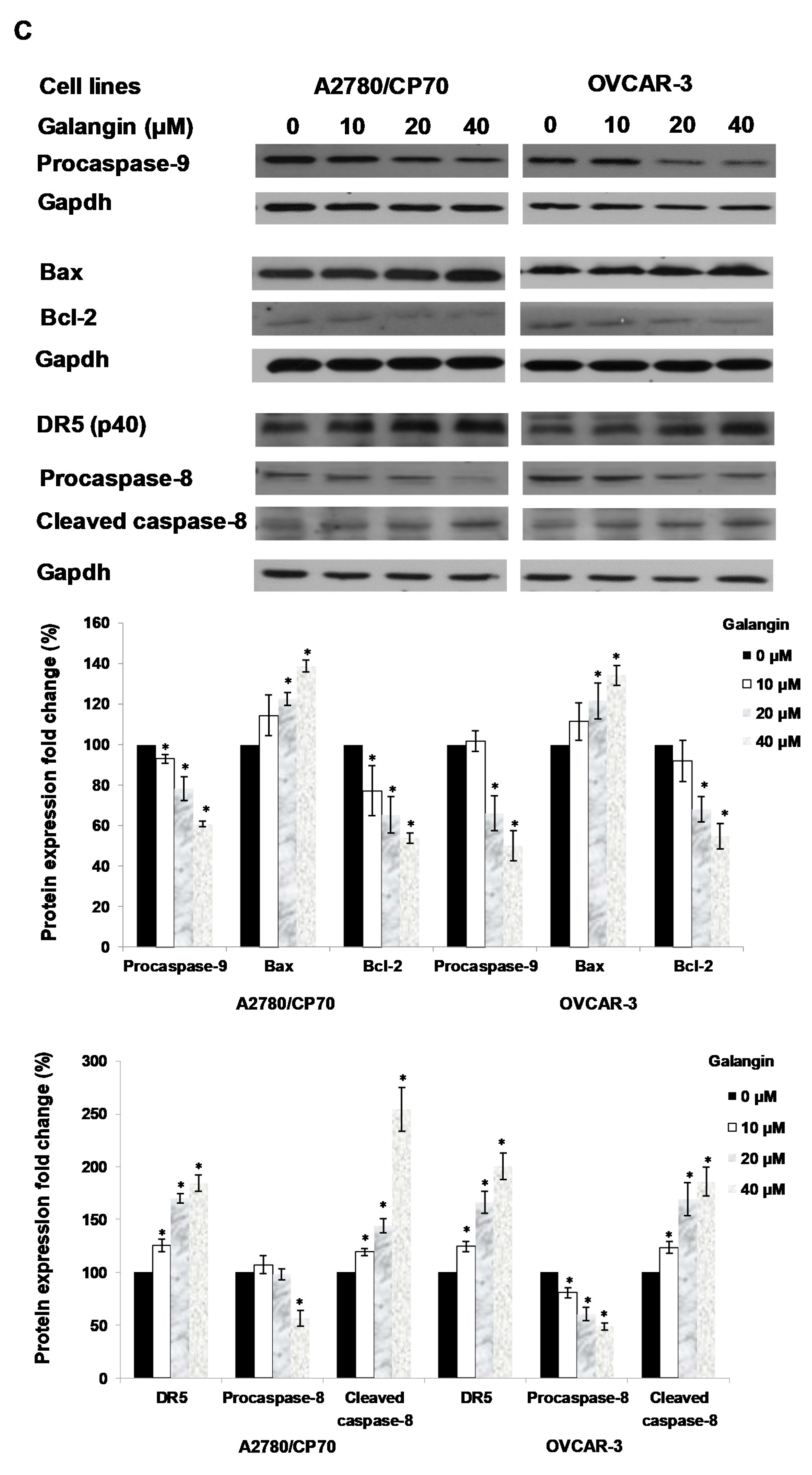 Molecules 25 01579 g005c