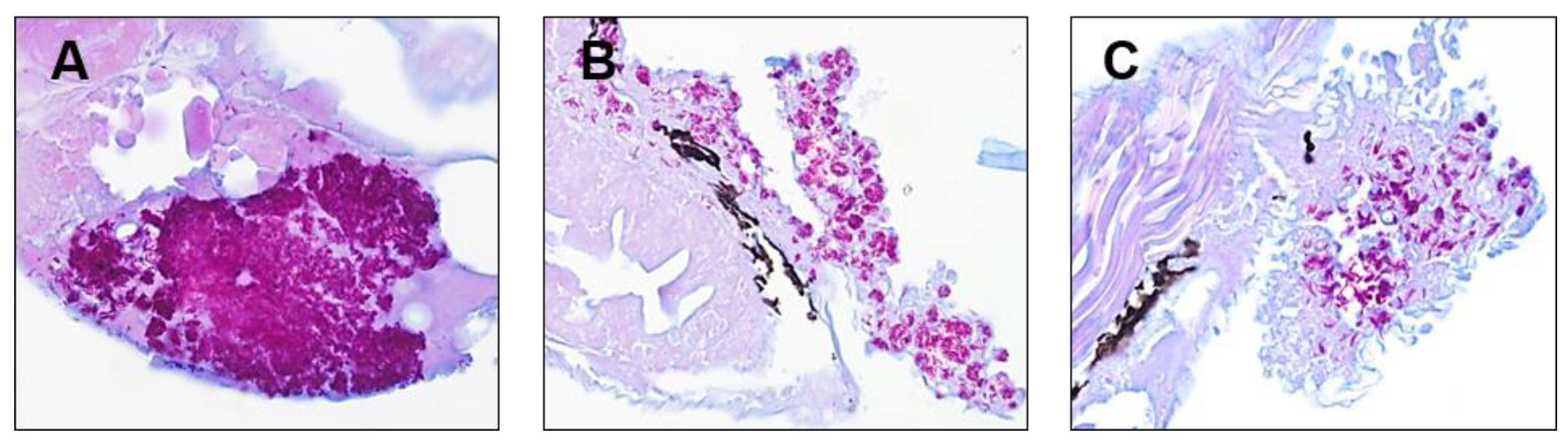 Molecules 25 01597 g005 Molecules 25 01597 g005