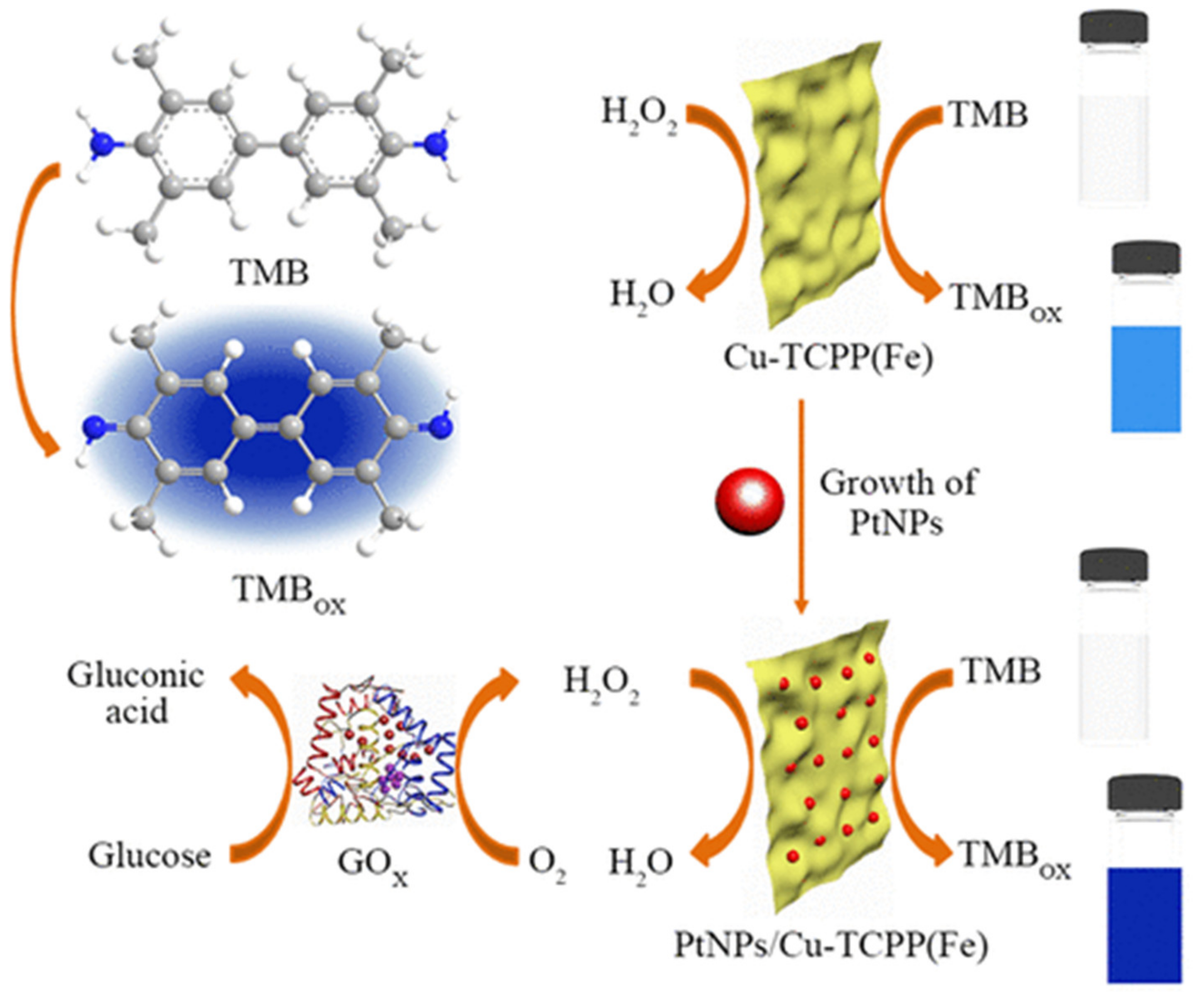 Molecules 25 01598 g009 Molecules 25 01598 g009