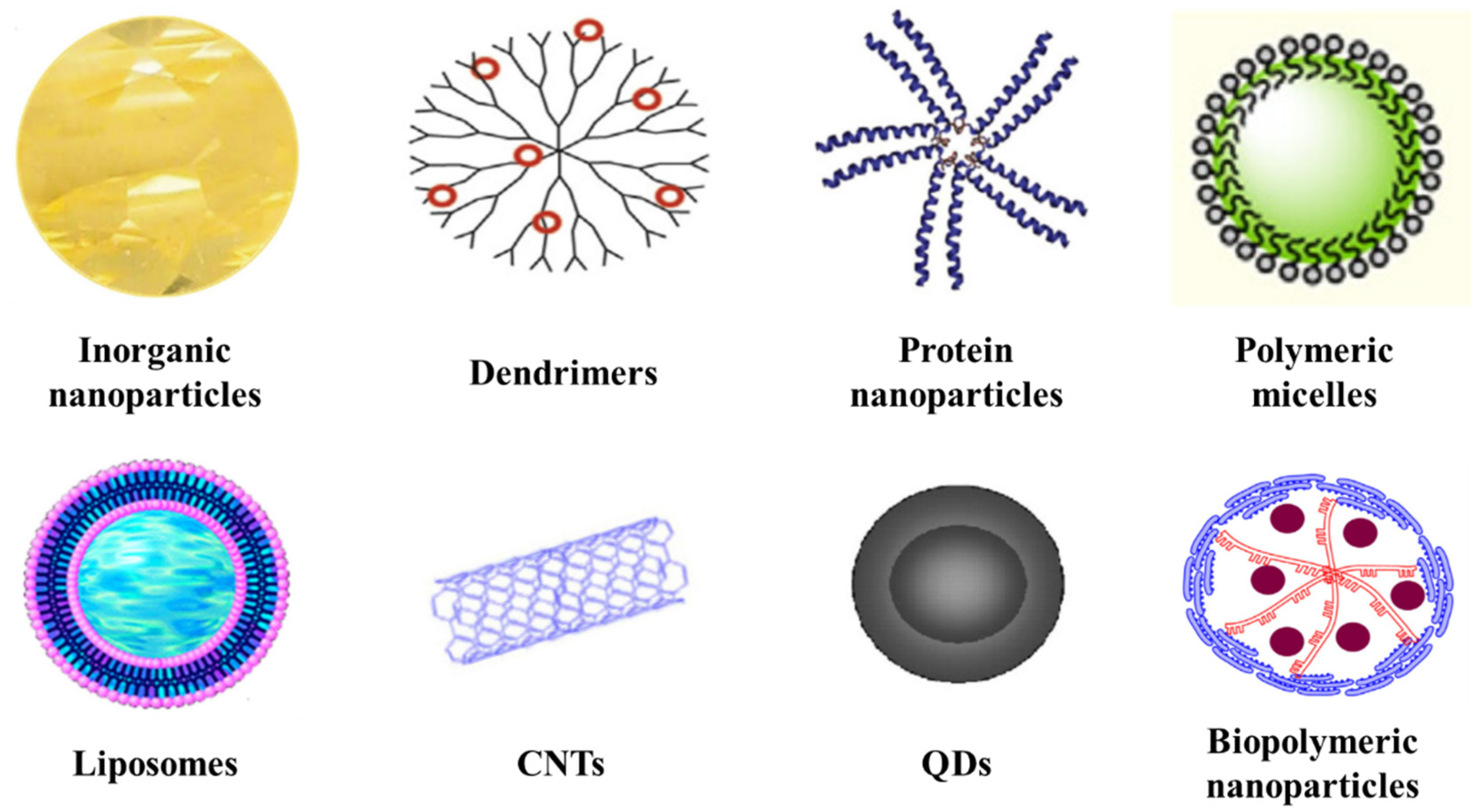 Molecules | Free Full-Text | Encapsulation for Cancer Therapy