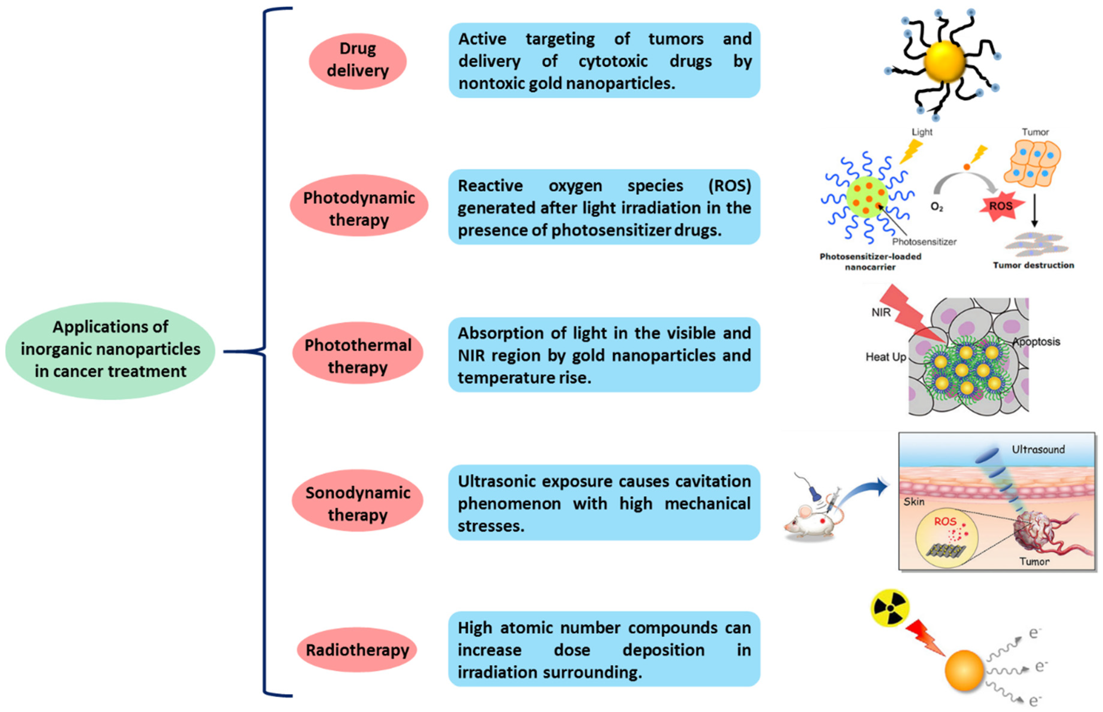 Molecules 25 01605 g003