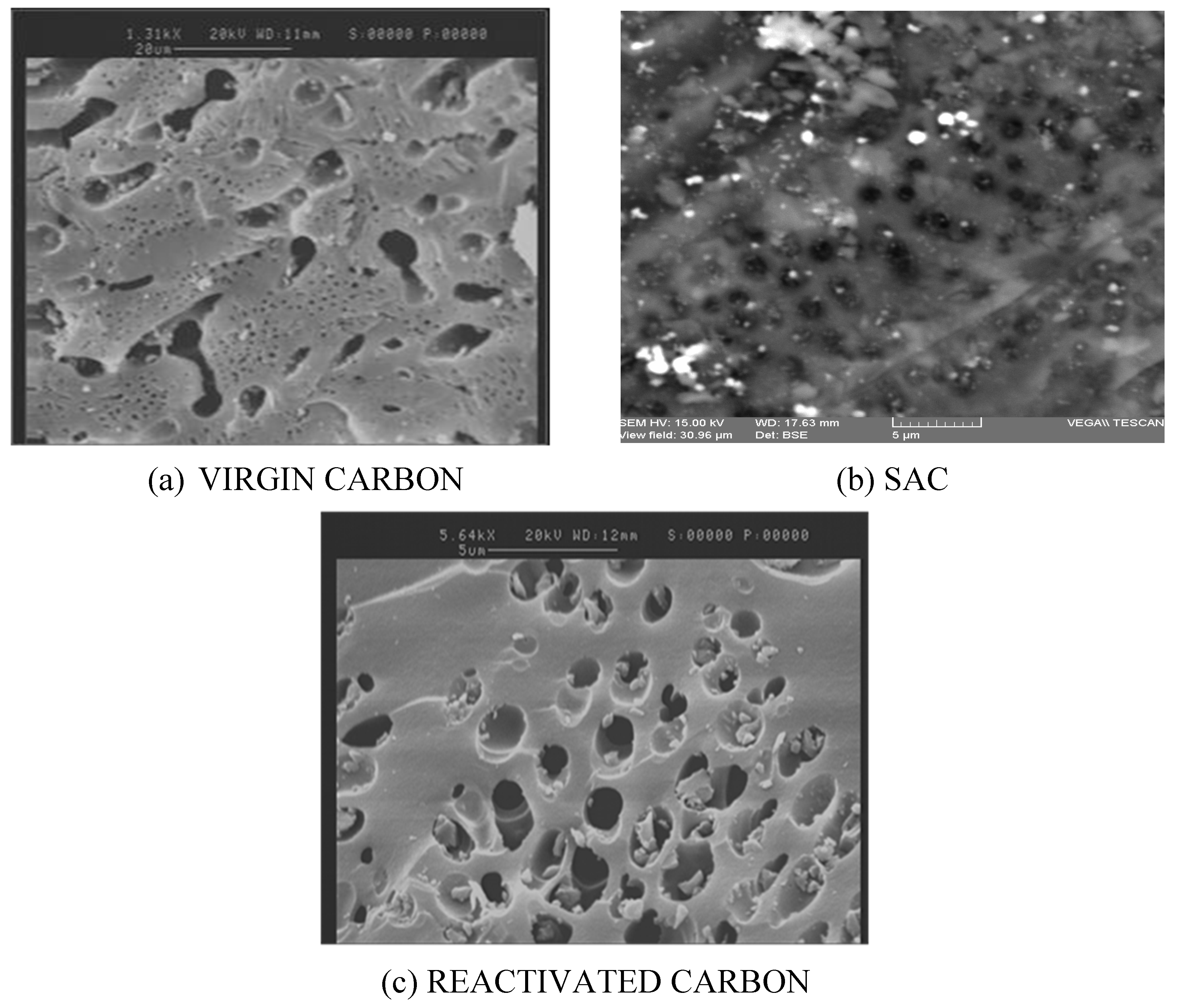 Molecules 25 01681 g007 Molecules 25 01681 g007