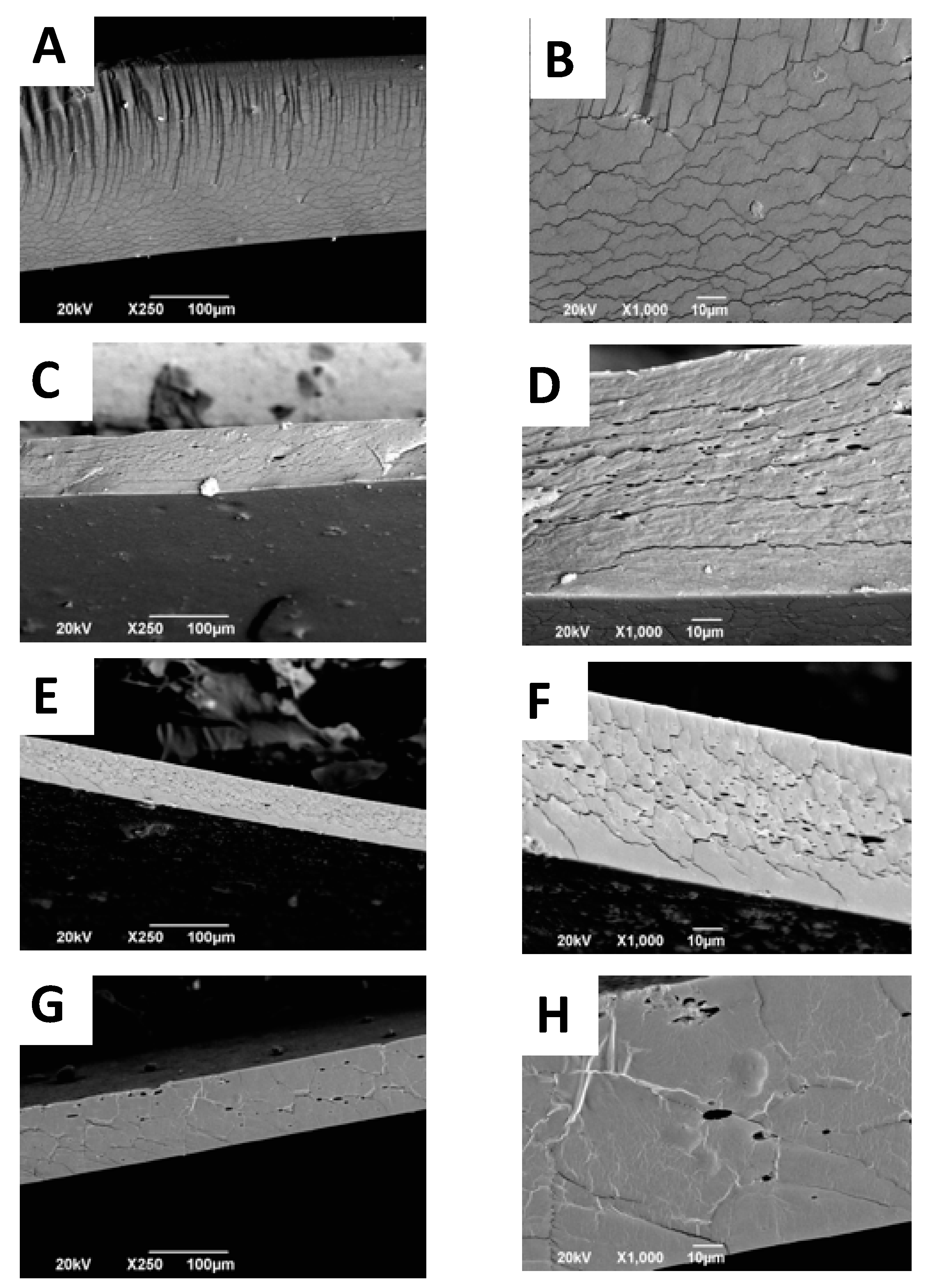 Molecules 25 01688 g002