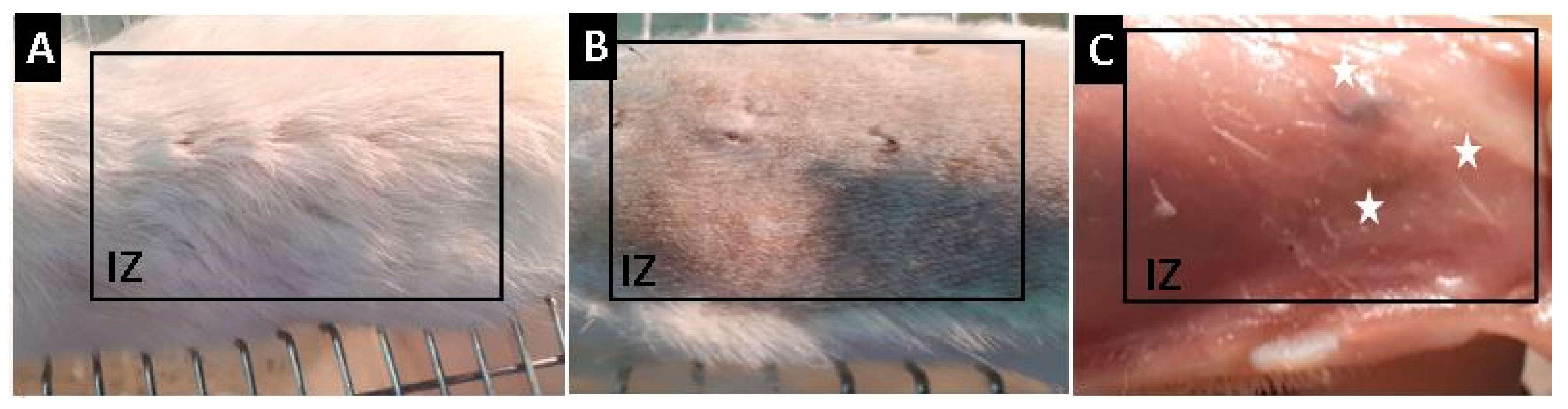 Molecules 25 01688 g007