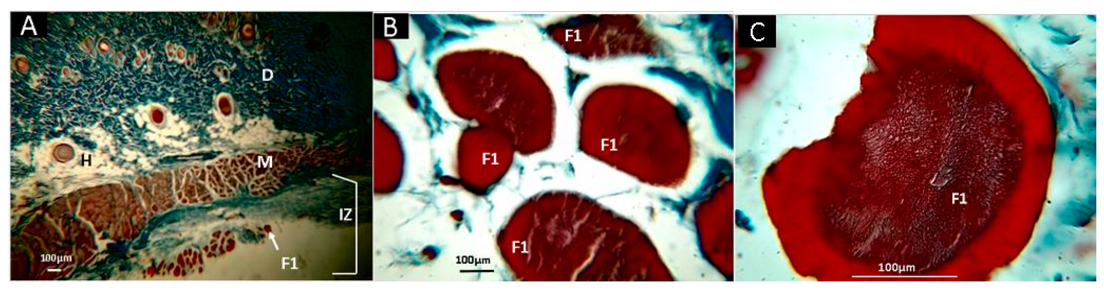 Molecules 25 01688 g008
