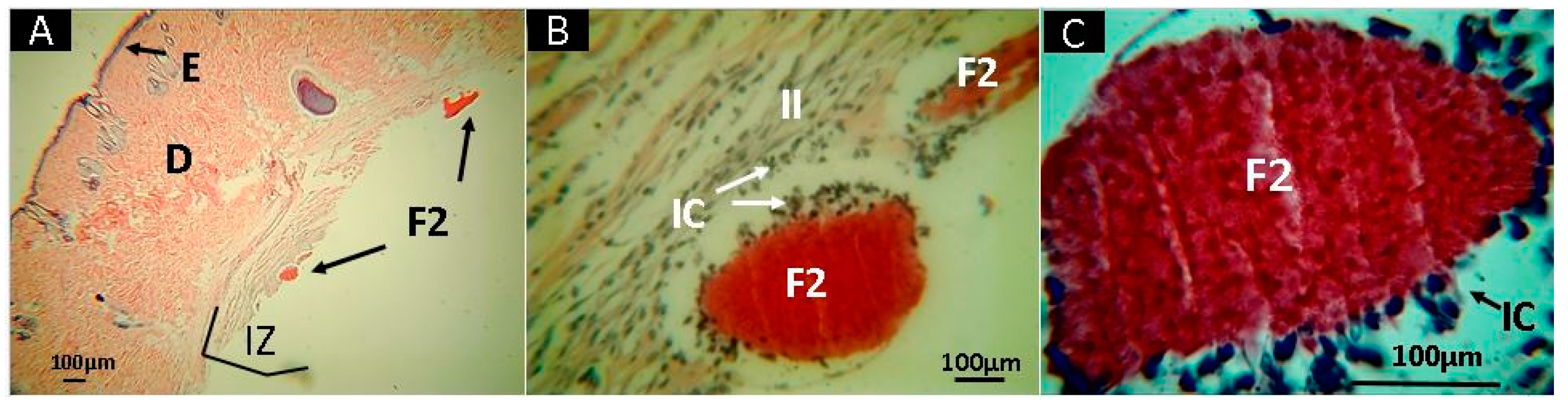 Molecules 25 01688 g009