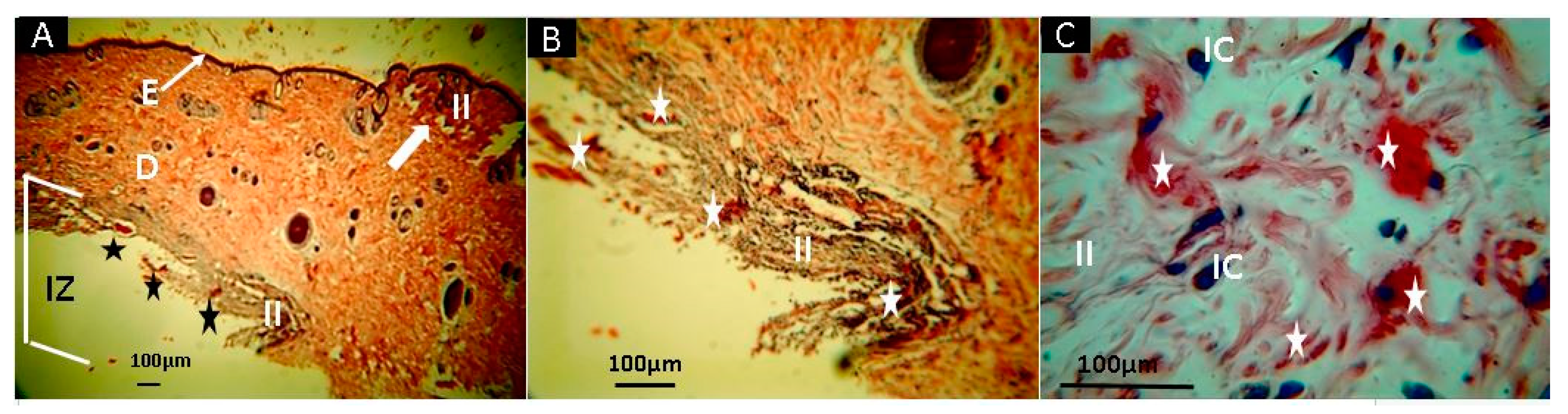 Molecules 25 01688 g010