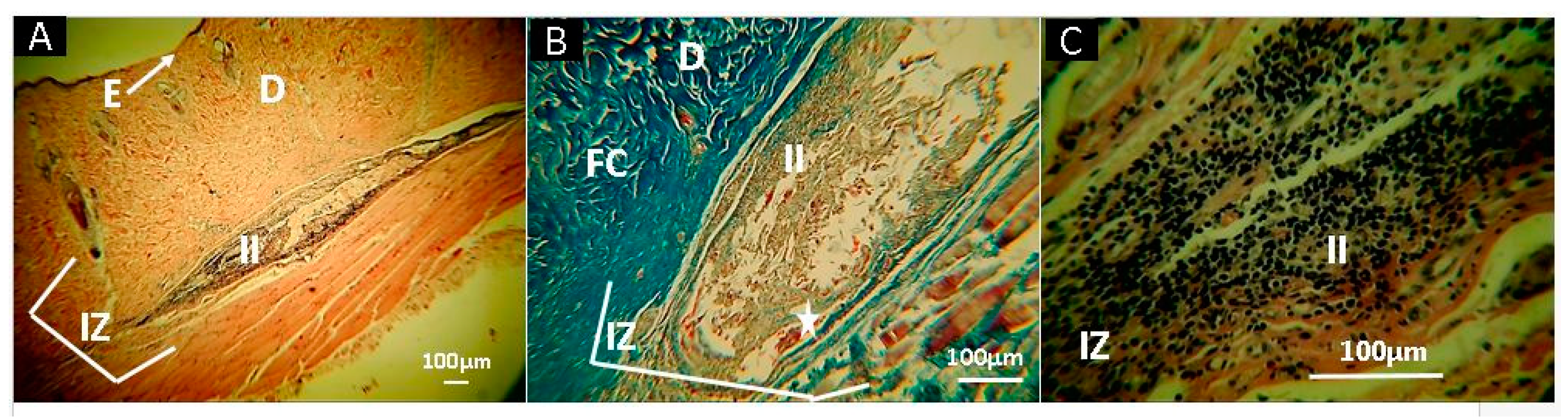 Molecules 25 01688 g011