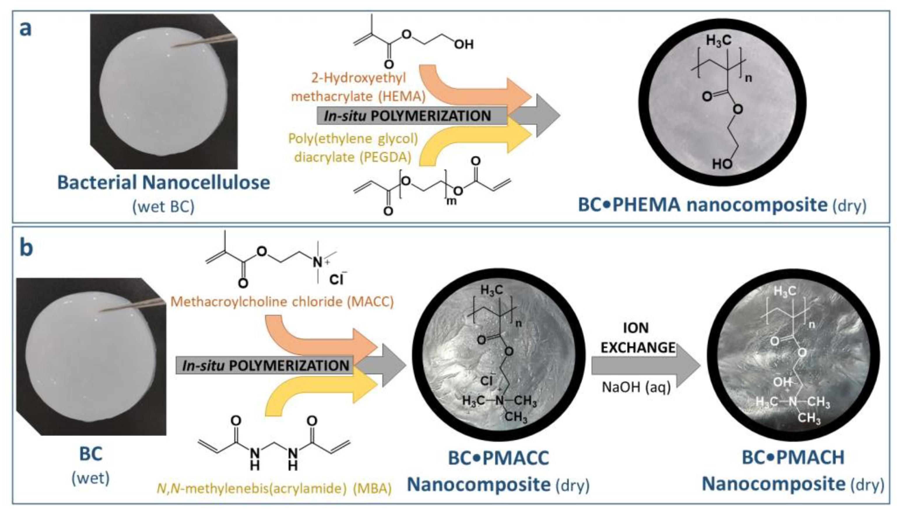 Molecules 25 01689 g001