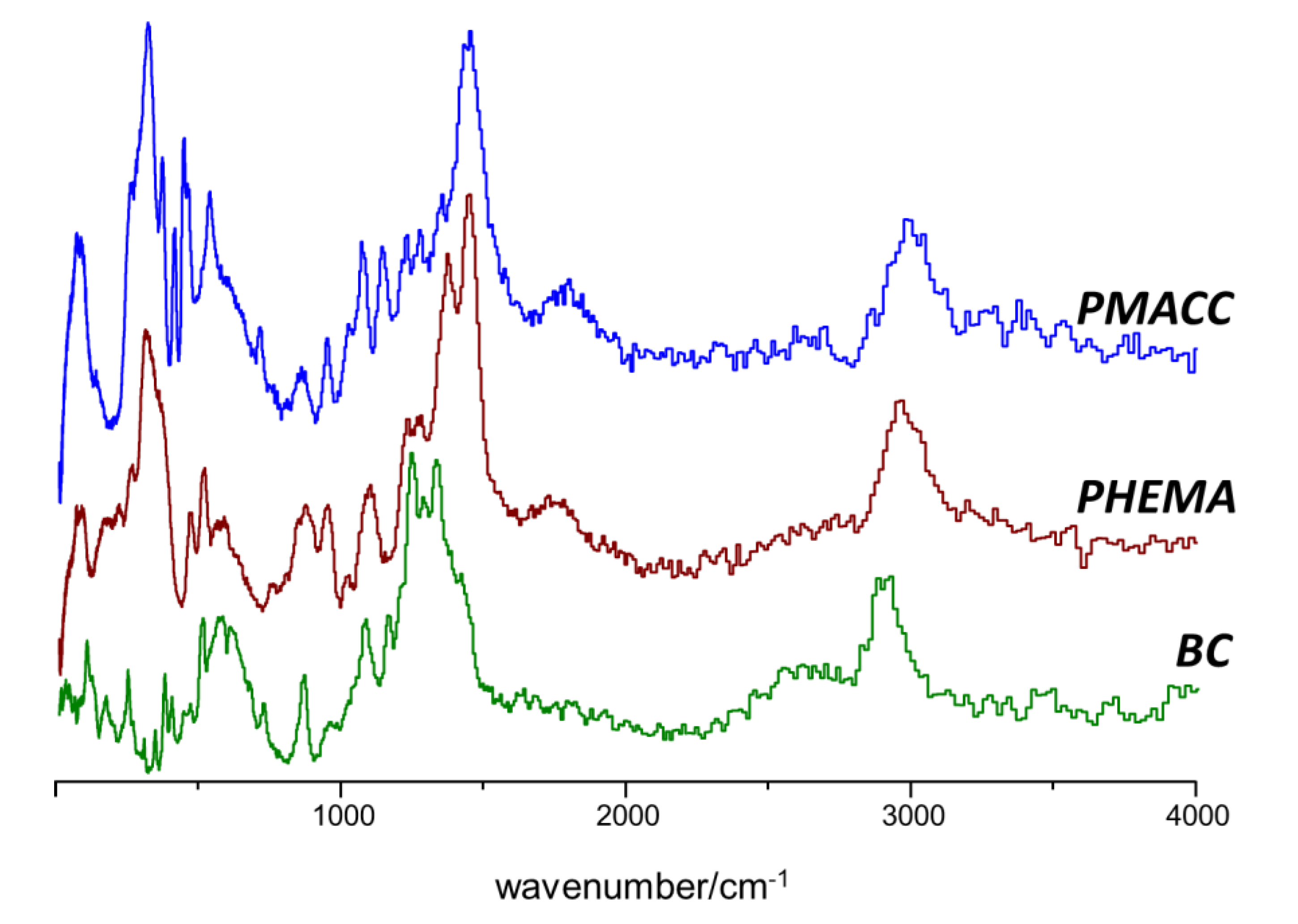 Molecules 25 01689 g002
