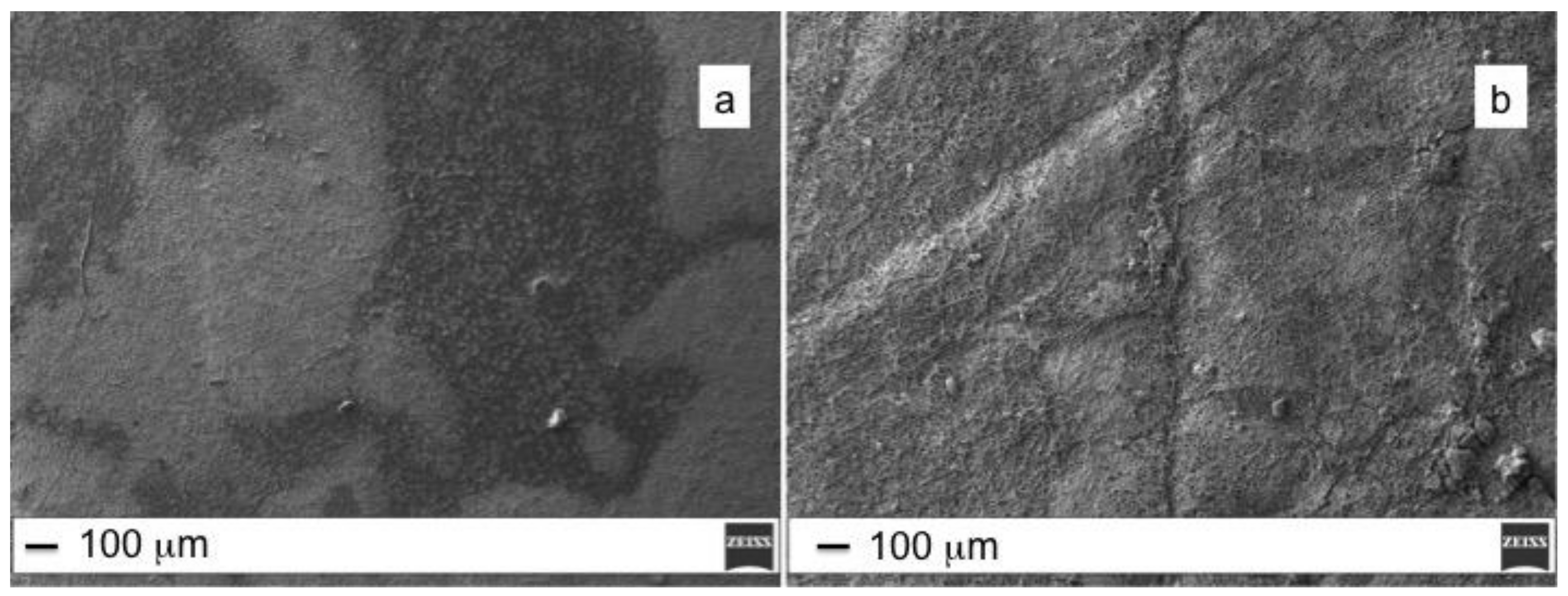 Molecules 25 01696 g006 Molecules 25 01696 g006