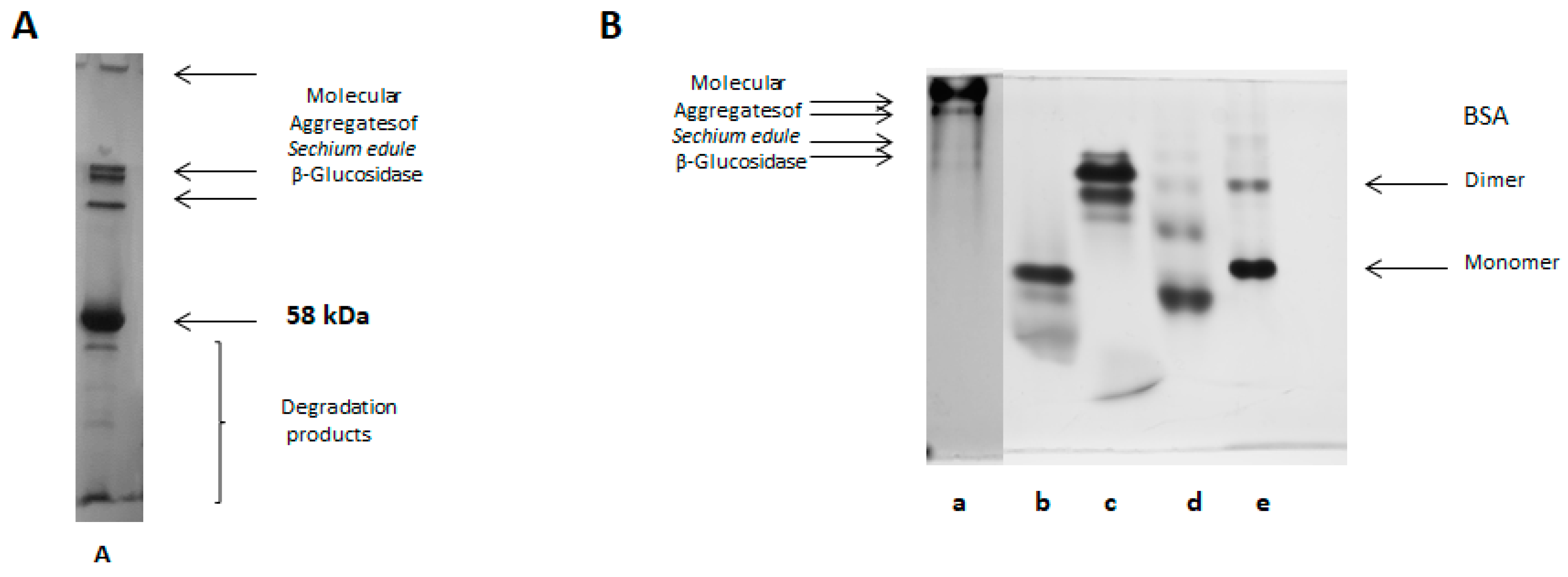 Molecules 25 01699 g005a