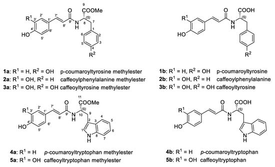 Molecules Free Full Text Hydroxycinnamoyl Amino Acids Conjugates A Chiral Pool To Distinguish Commercially Exploited Coffea Spp Html