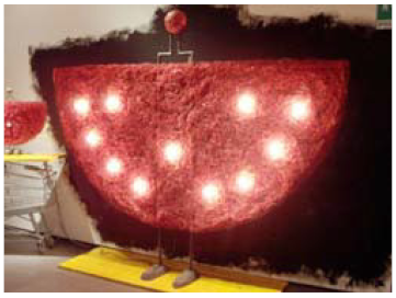 Molecules 25 01705 i001