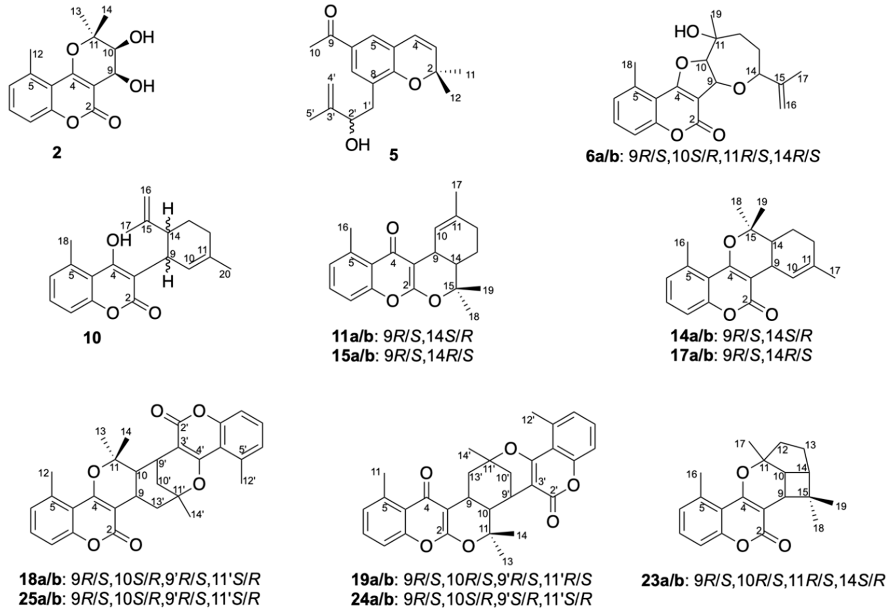 Molecules 25 01706 g003
