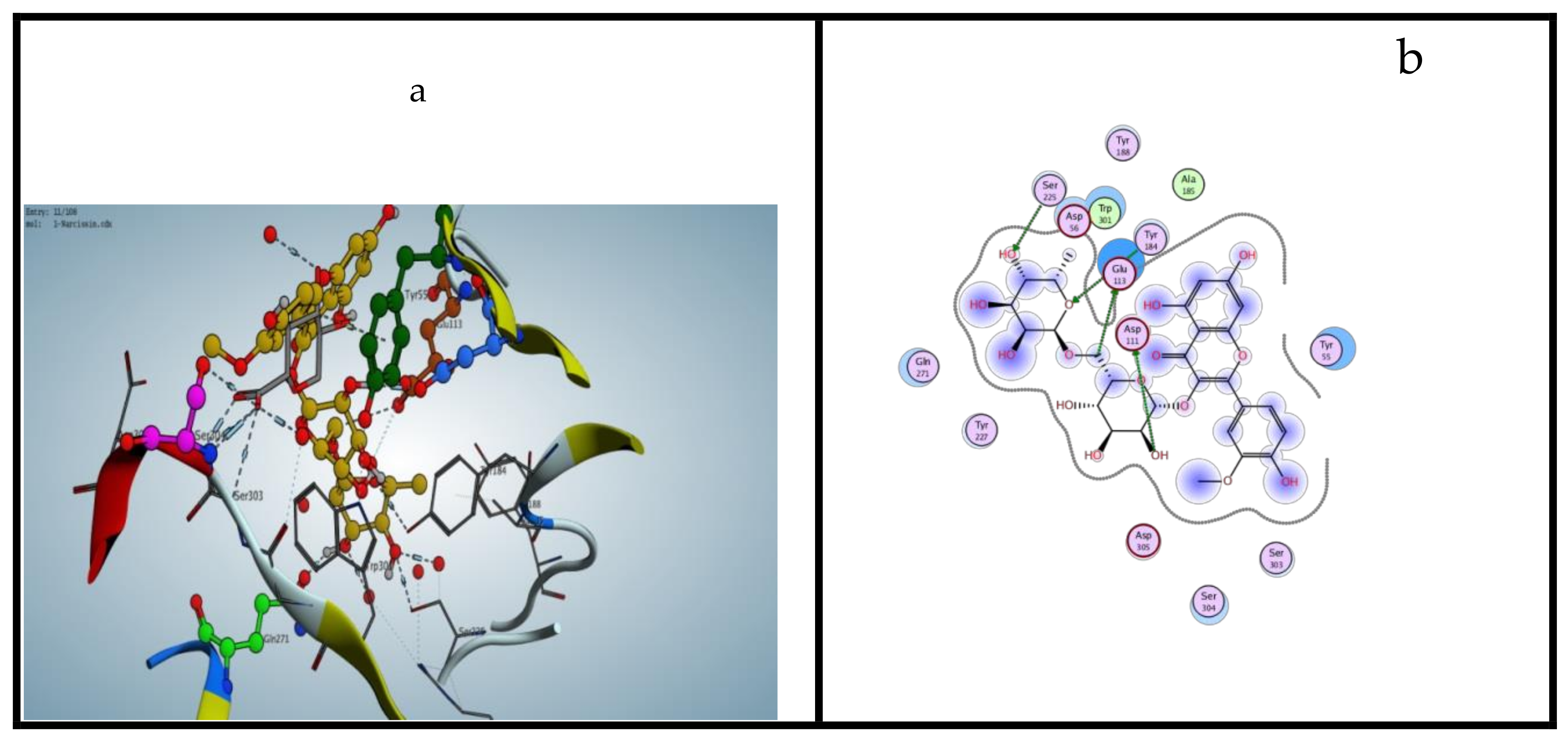 Molecules 25 01714 g003a Molecules 25 01714 g003a