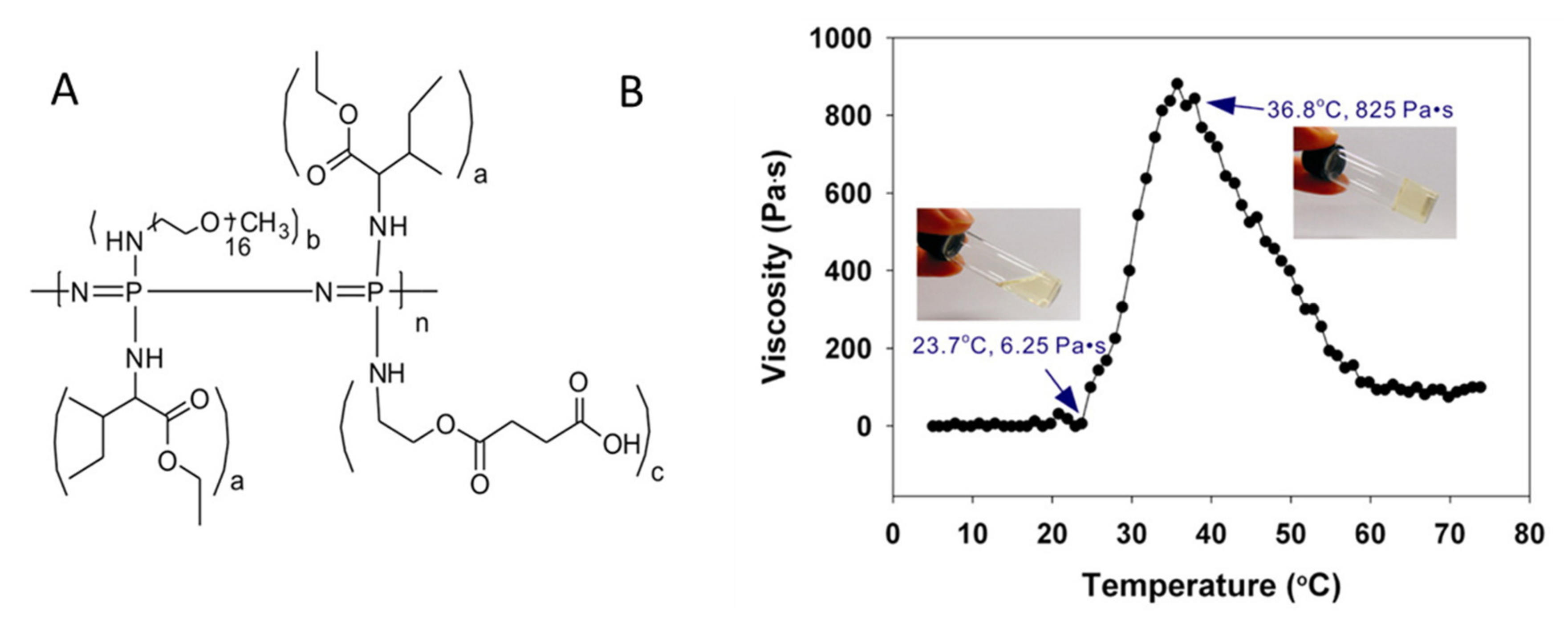 Molecules 25 01716 g017