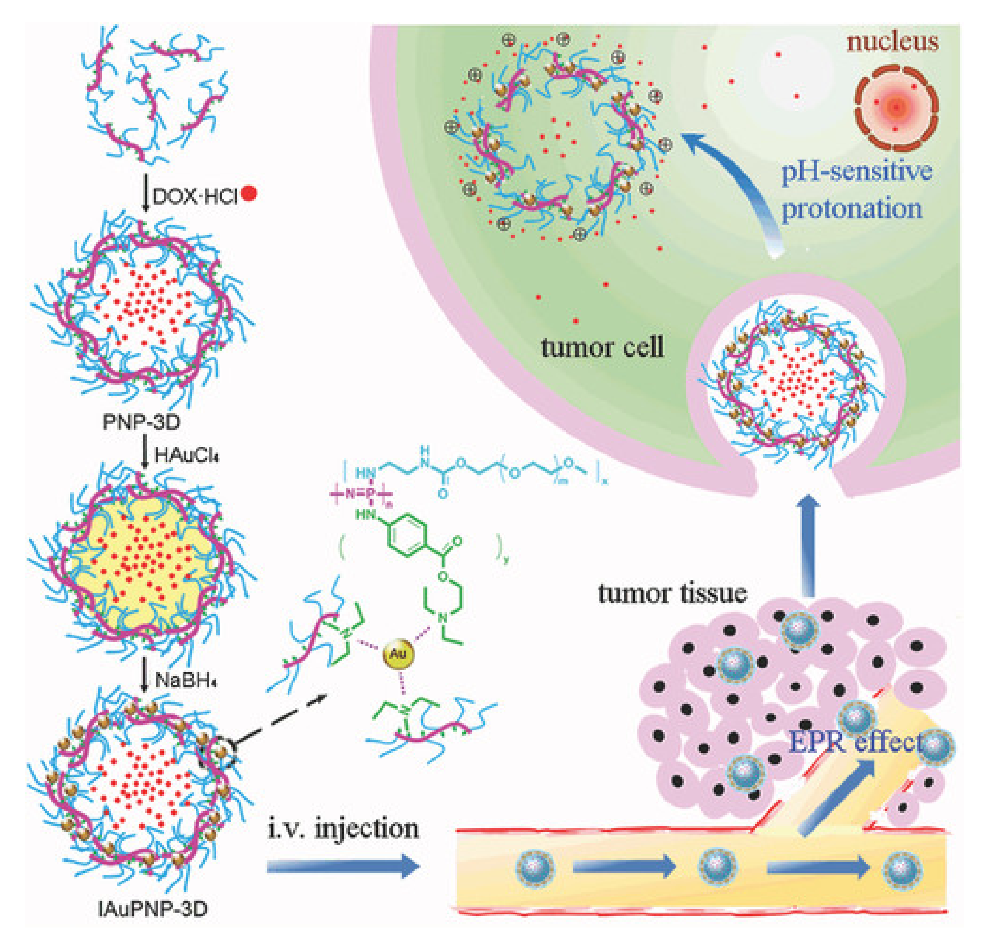 Molecules 25 01716 g026