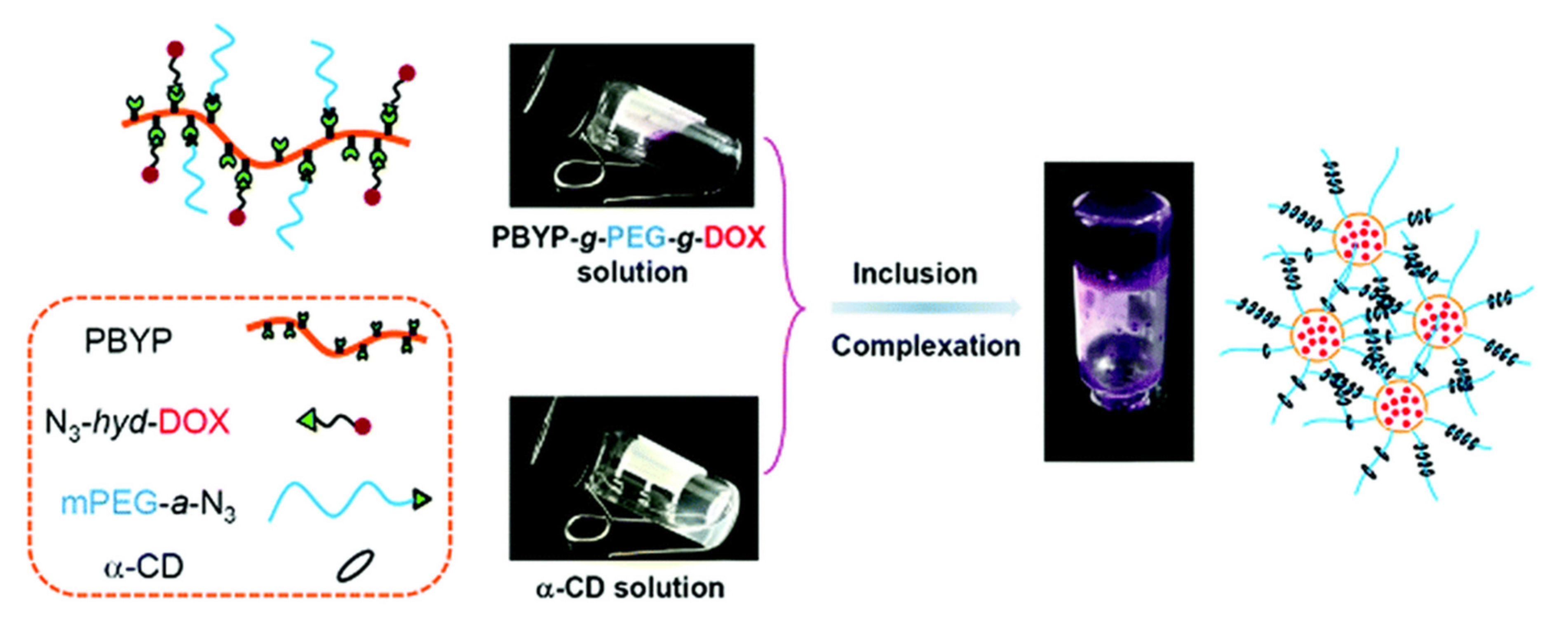 Molecules 25 01716 g031