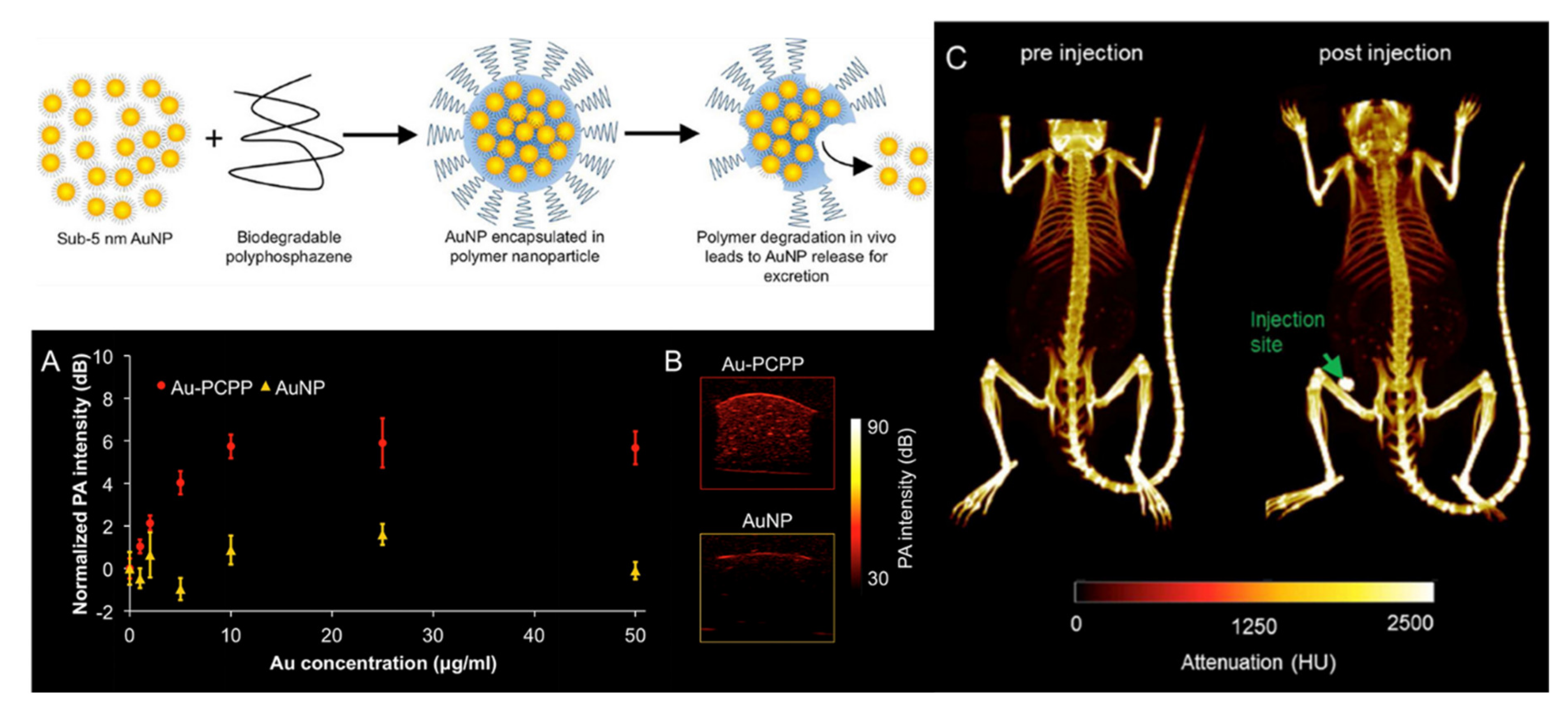 Molecules 25 01716 g041