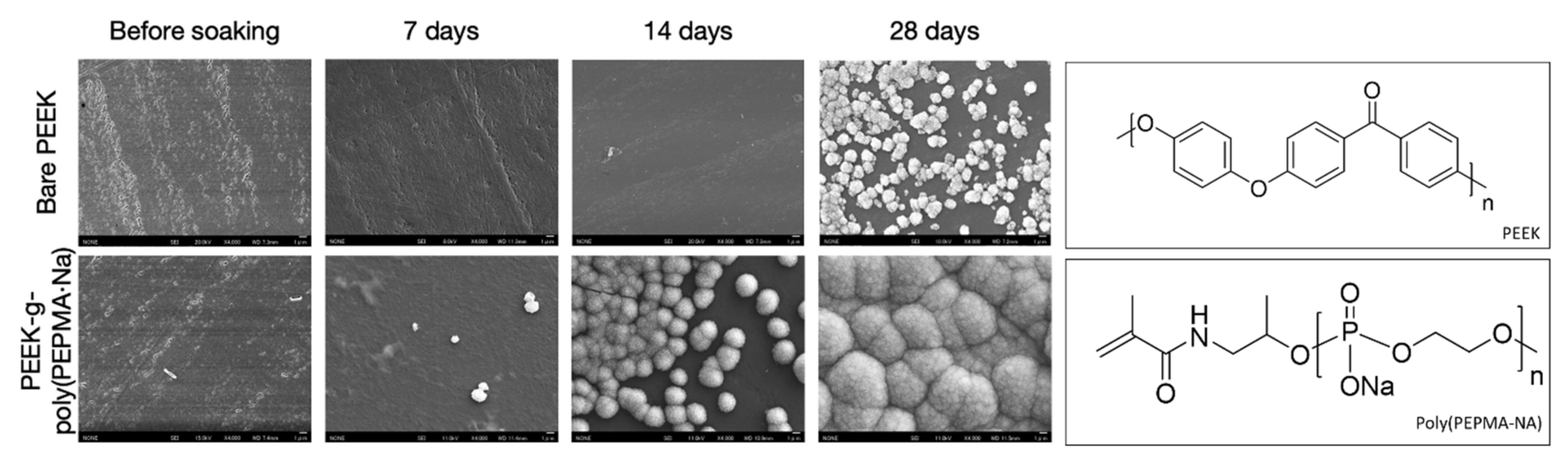Molecules 25 01716 g045