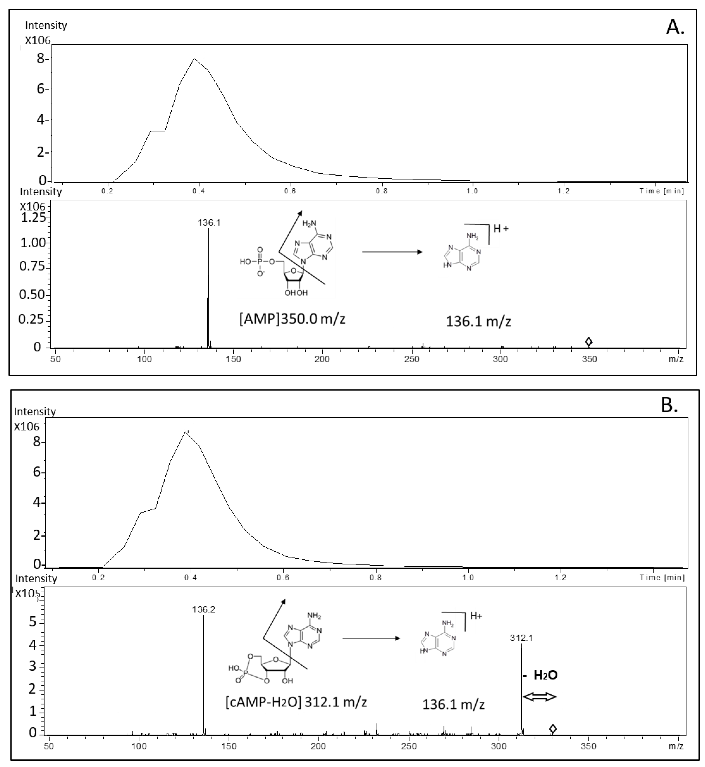 Molecules 25 01817 g002 Molecules 25 01817 g002