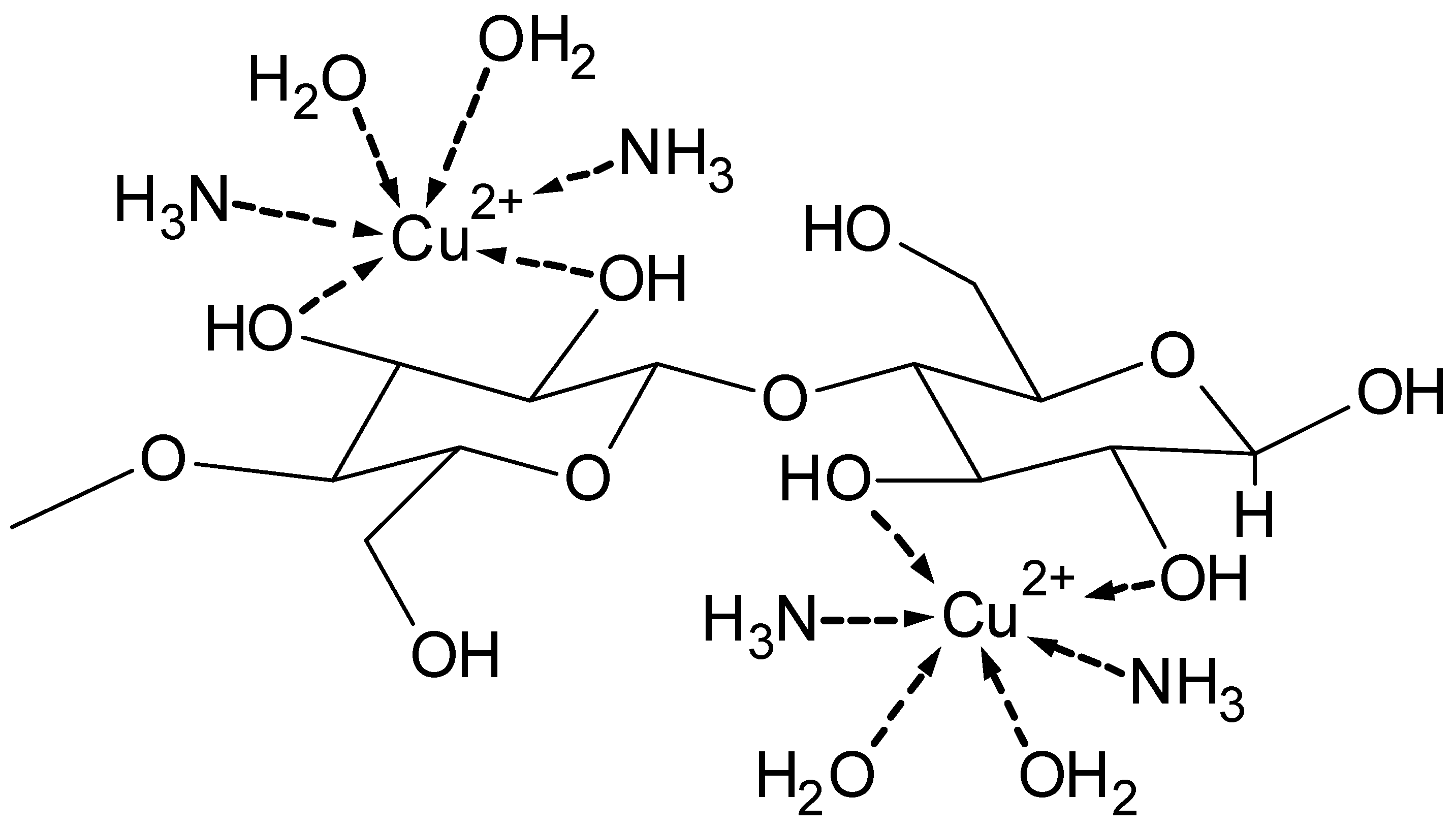 Molecules 25 01840 g007