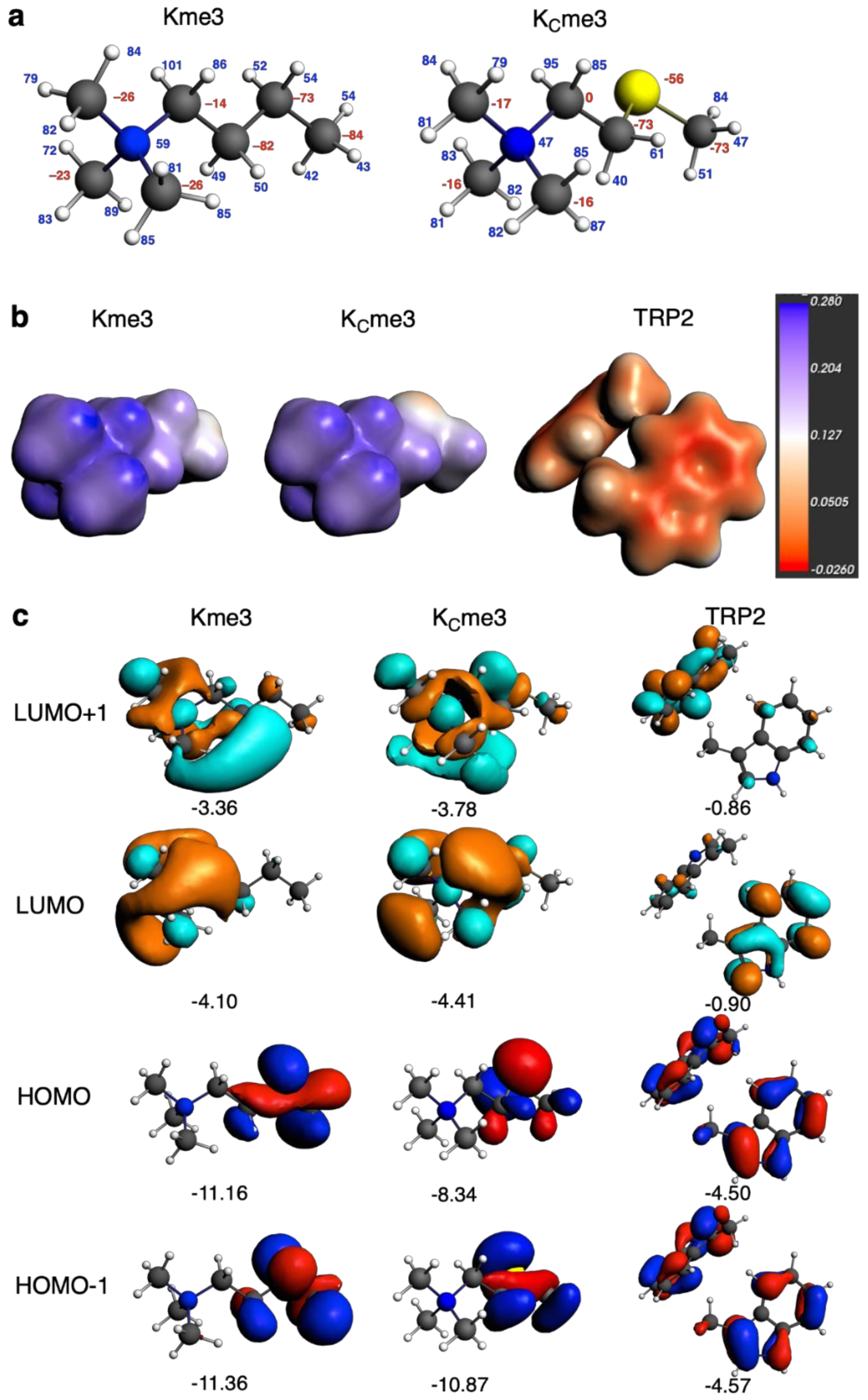 Molecules 25 01918 g004 Molecules 25 01918 g004