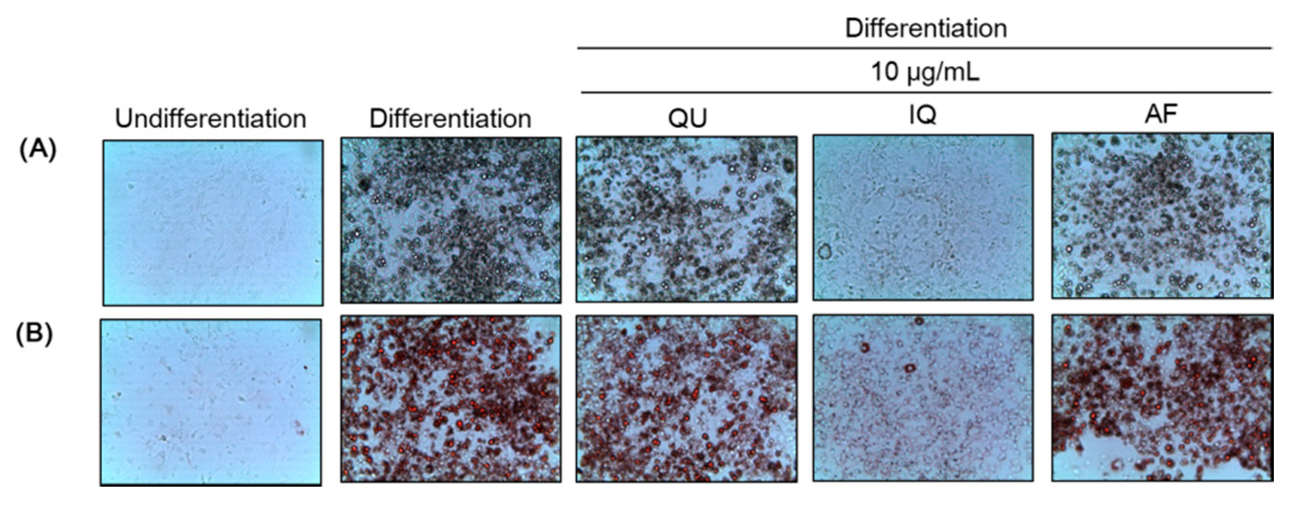 Molecules 25 01920 g002