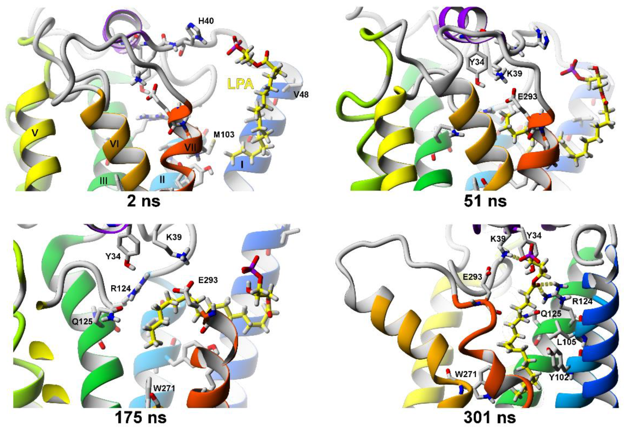 Molecules | Free Full-Text | The Hydrophobic Ligands Entry and Exit from  the GPCR Binding Site-SMD and SuMD Simulations