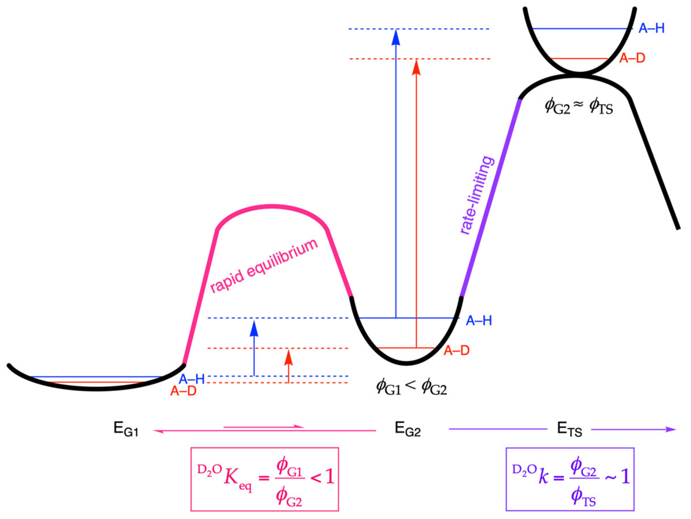 Molecules 25 01933 g001 Molecules 25 01933 g001