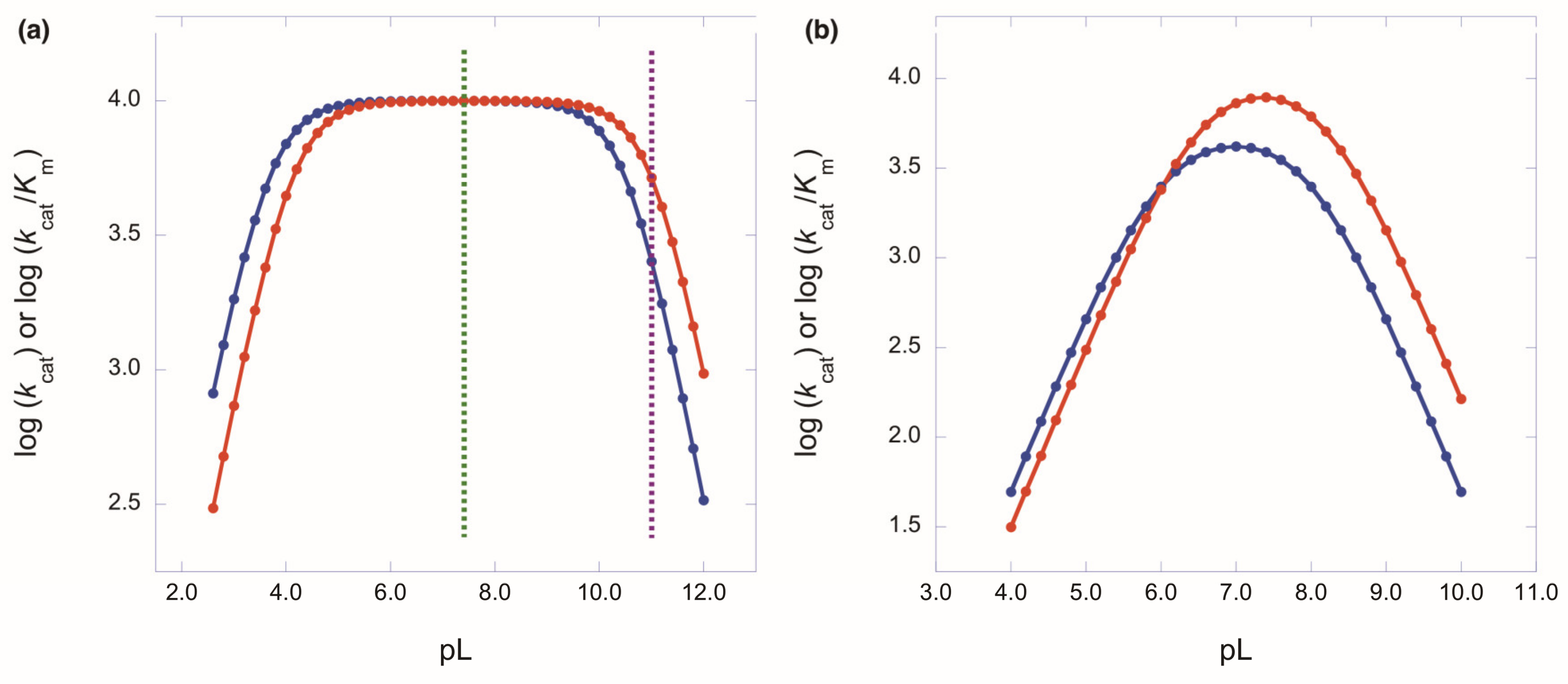 Molecules 25 01933 g002 Molecules 25 01933 g002