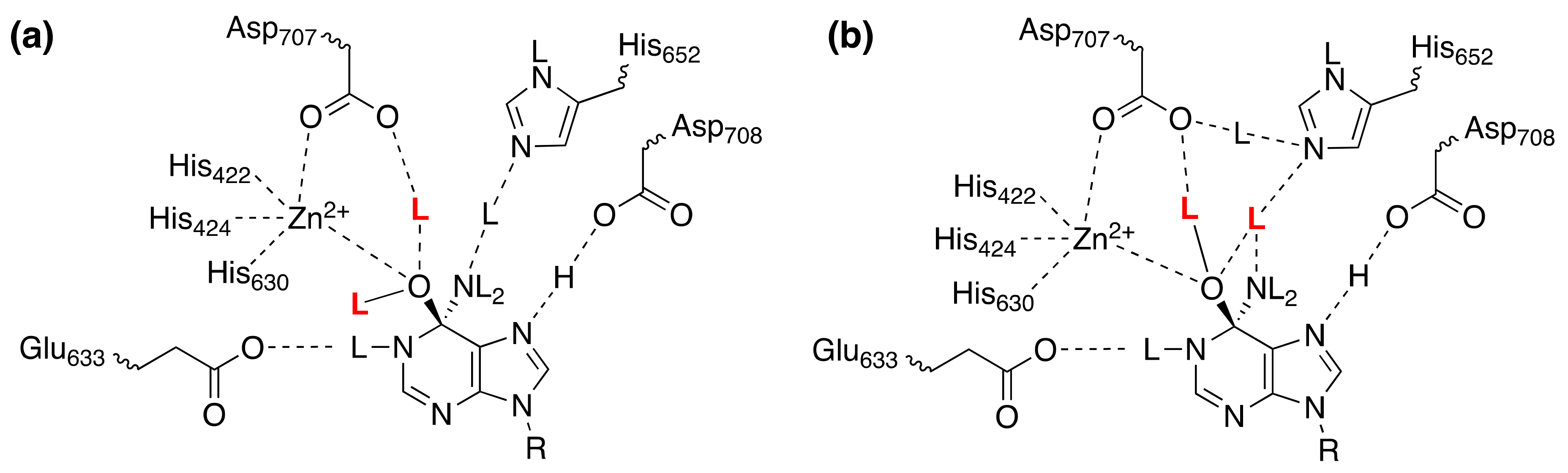Molecules 25 01933 g003 Molecules 25 01933 g003
