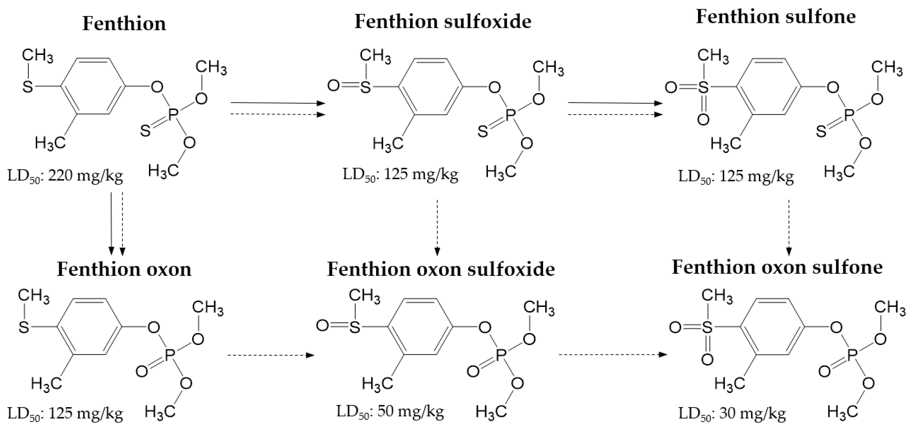 Molecules 25 01938 g001