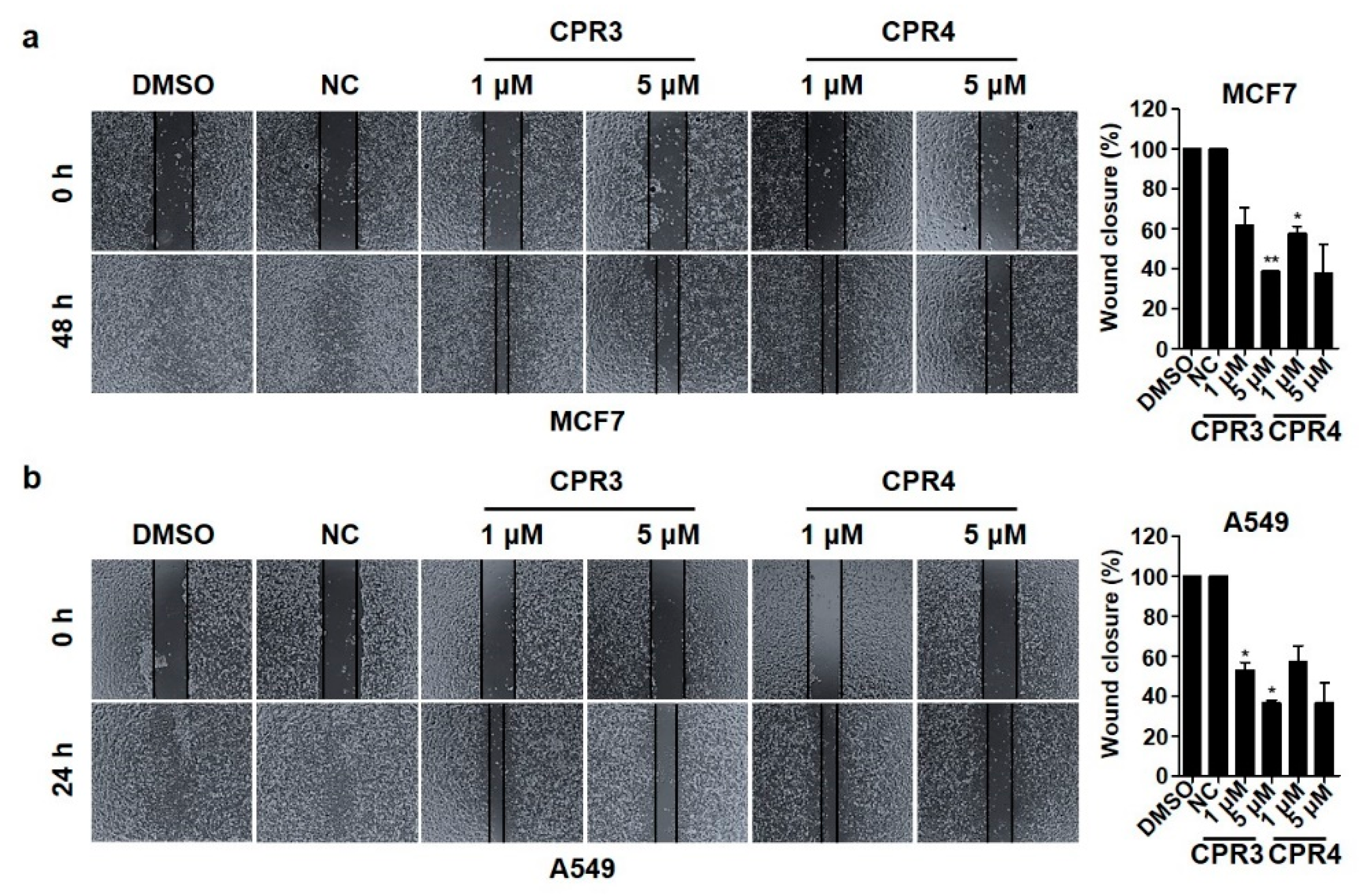 Molecules 25 01948 g004 Molecules 25 01948 g004